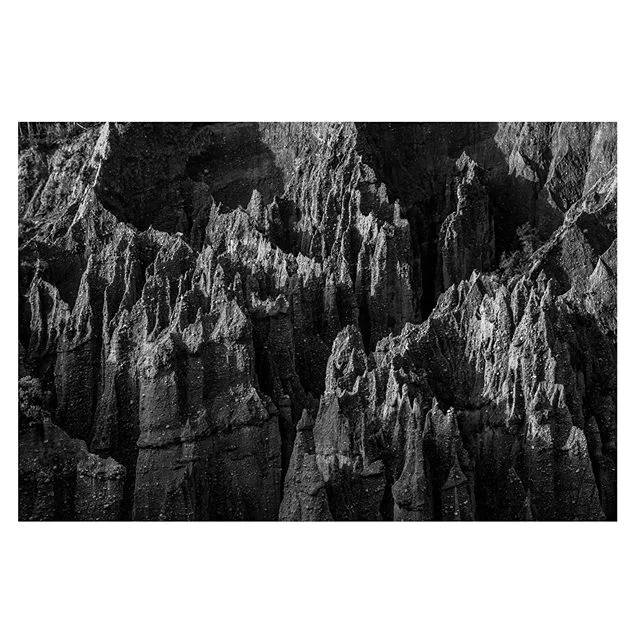 Wizurd country
-
-
-
-
-
#bwlandscape #canyons #hoodoos #masswasting #gandalfwashere #nz #putangiruapinnacles #wairarapa #highcontrast
