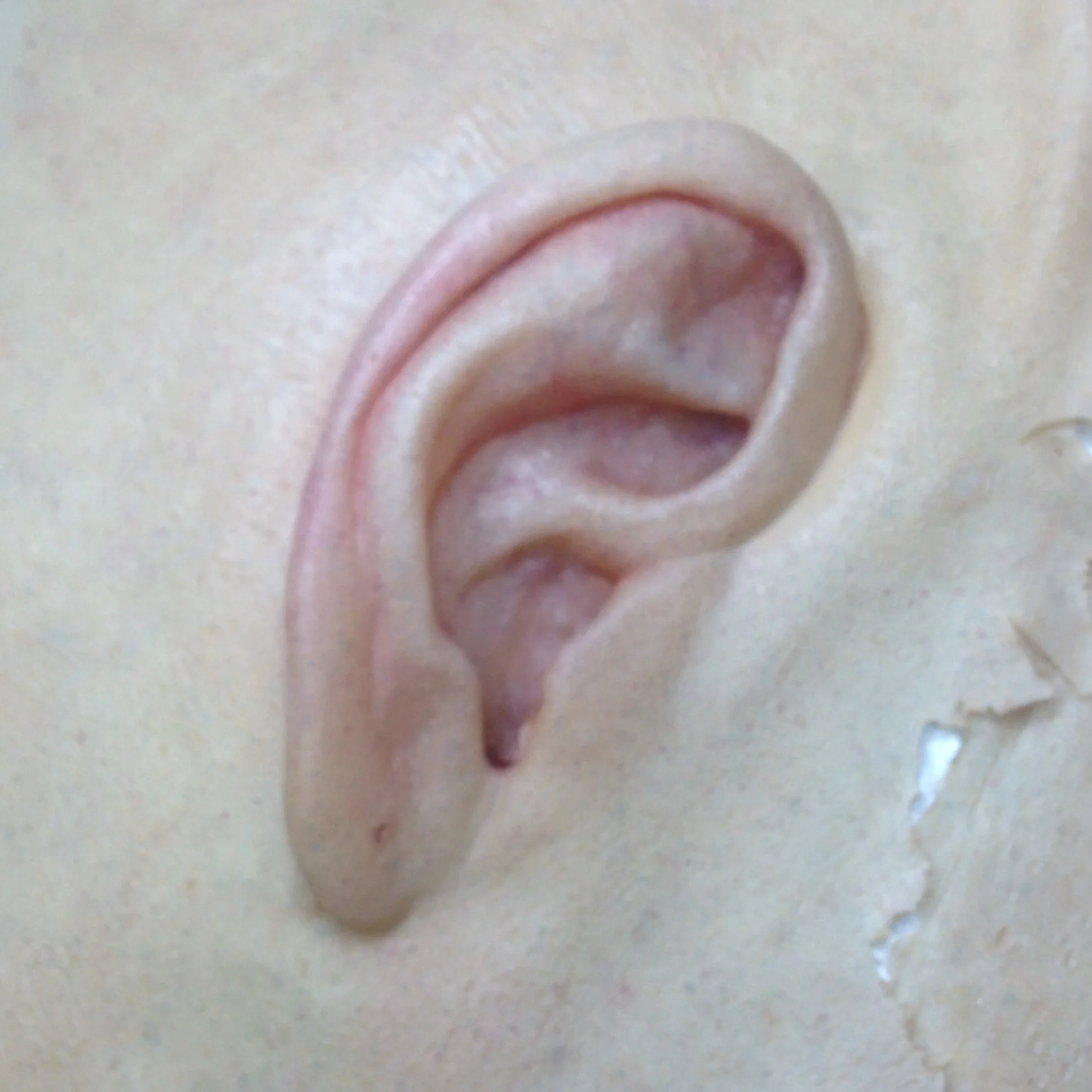 Silicone Ear Sculpt