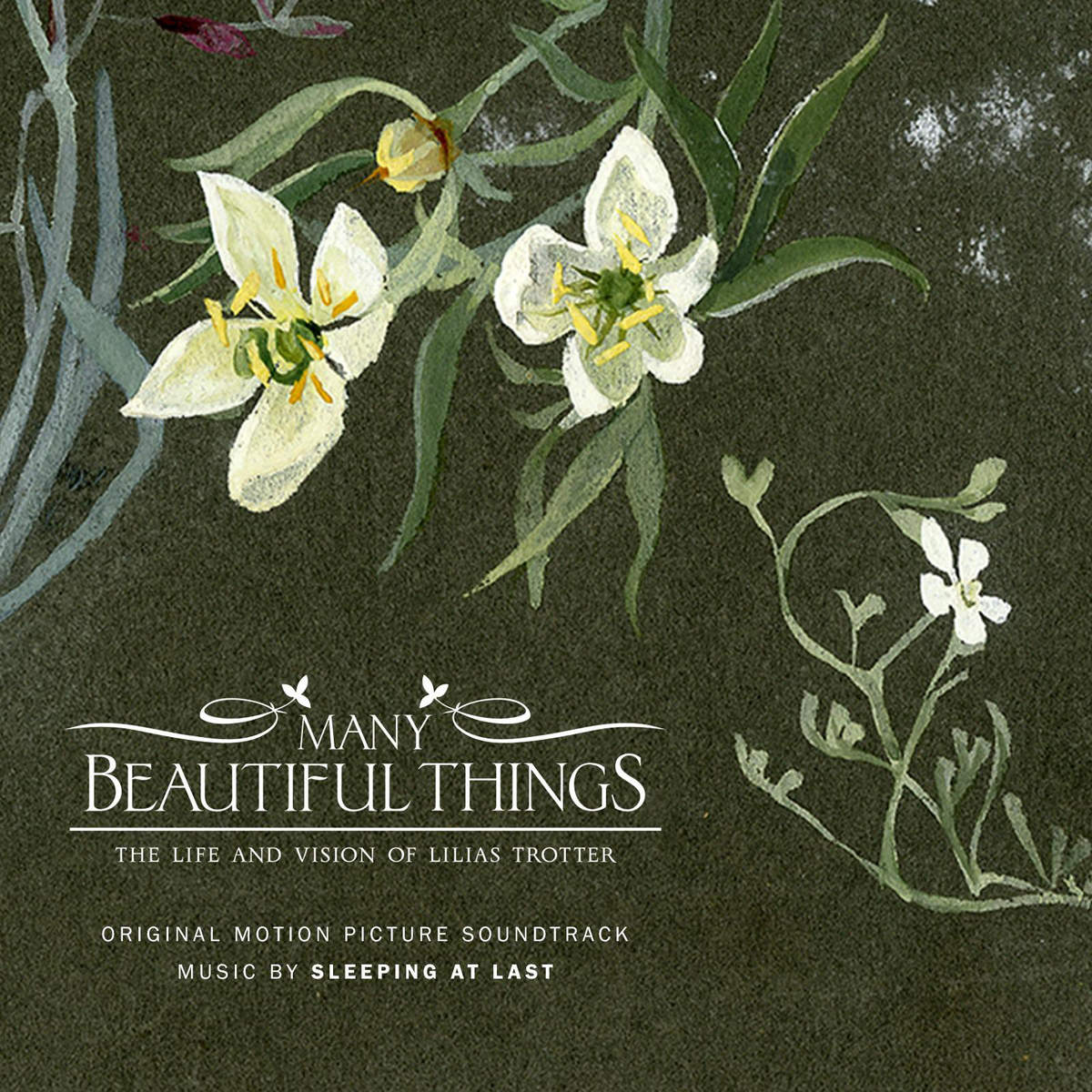 cover-ManyBeautifulThings.jpeg