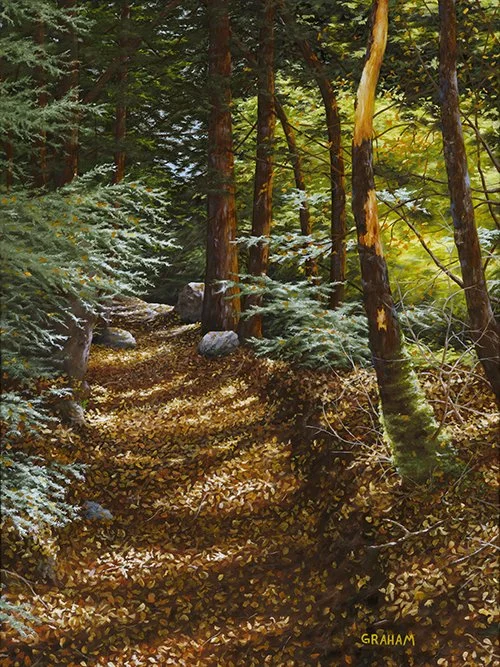 Graham_Apr 19_25_TN.jpg