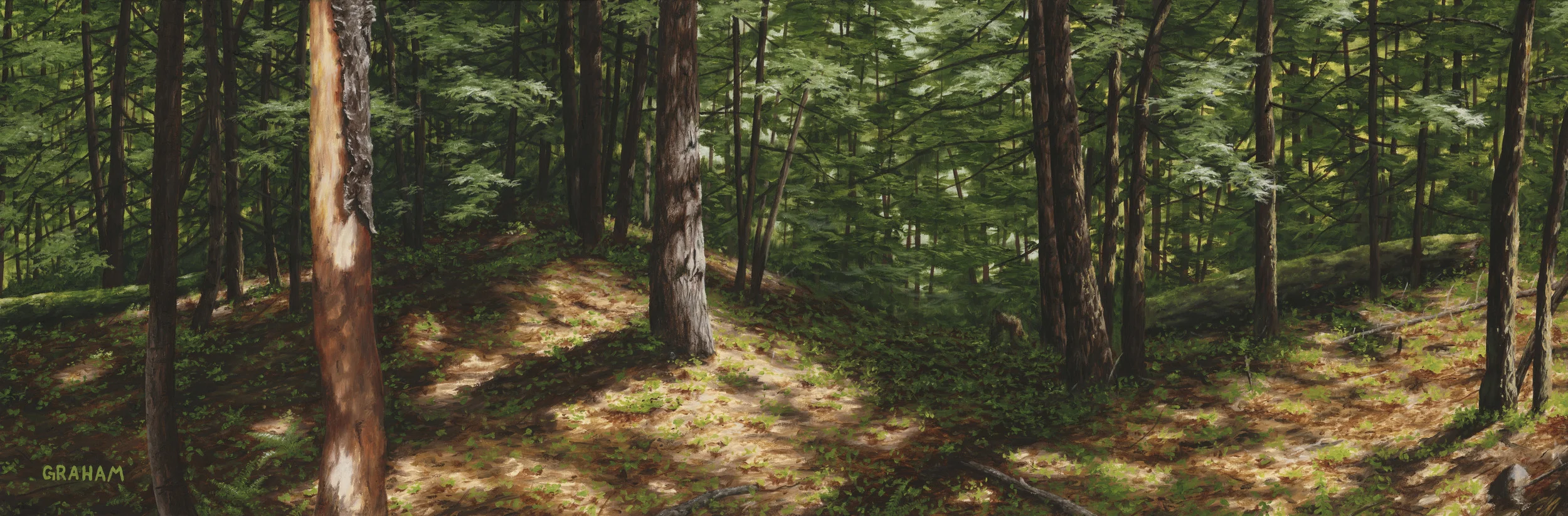 FW_GrahamMcKenzie- Wheres the Bunny- EDIT - MEDIUM.jpg