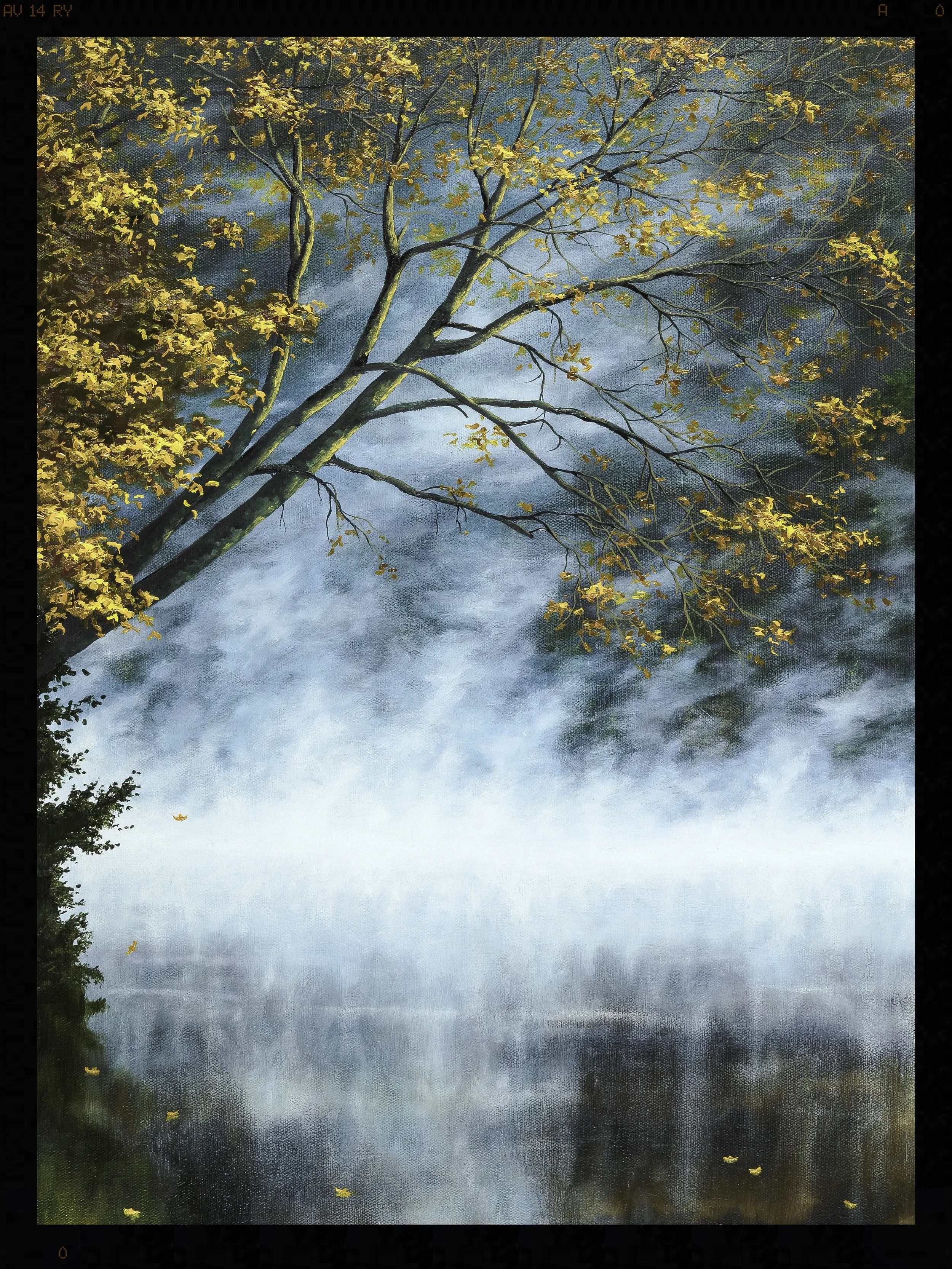 18x24-fogy-forest-small.jpg