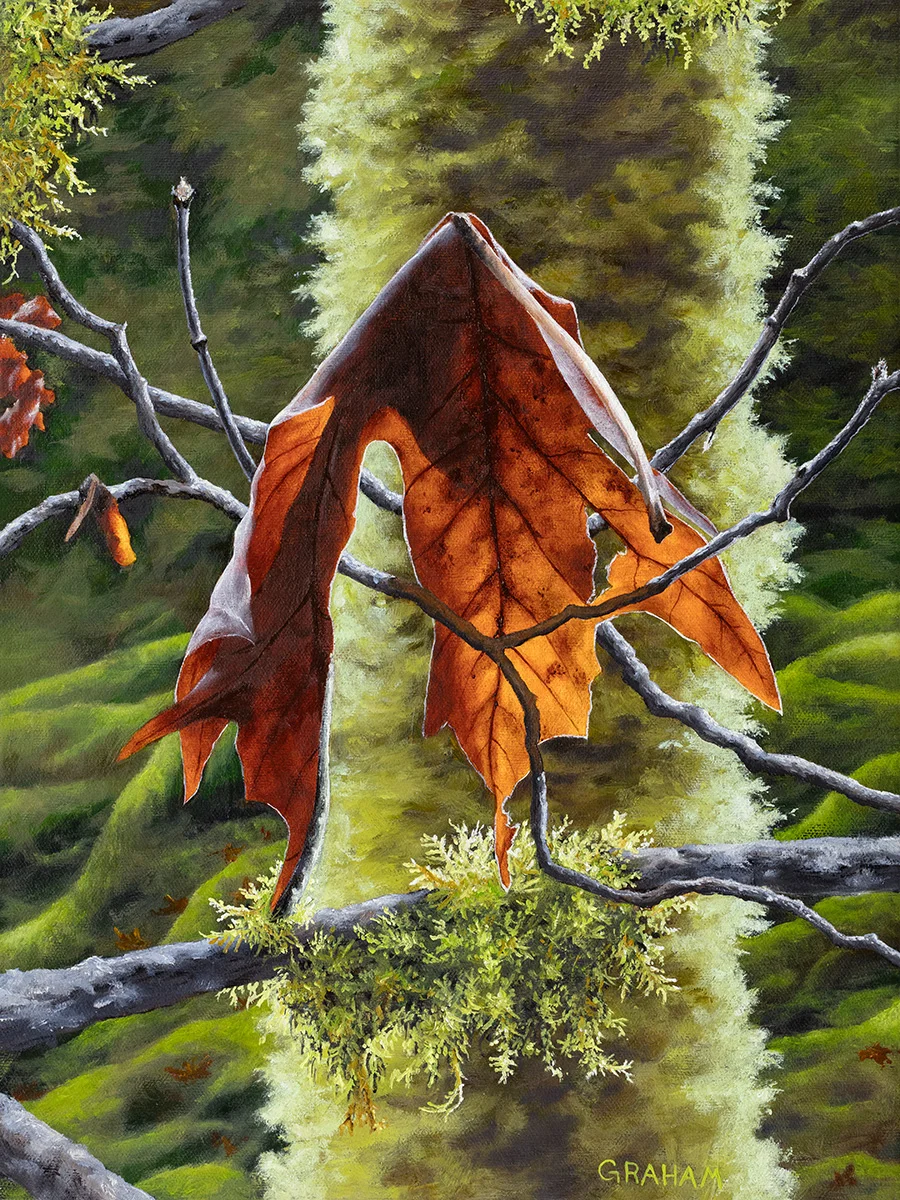 Suspended-12x16-WEB.jpg