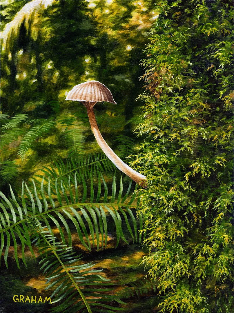 mushroom-WEB.jpg