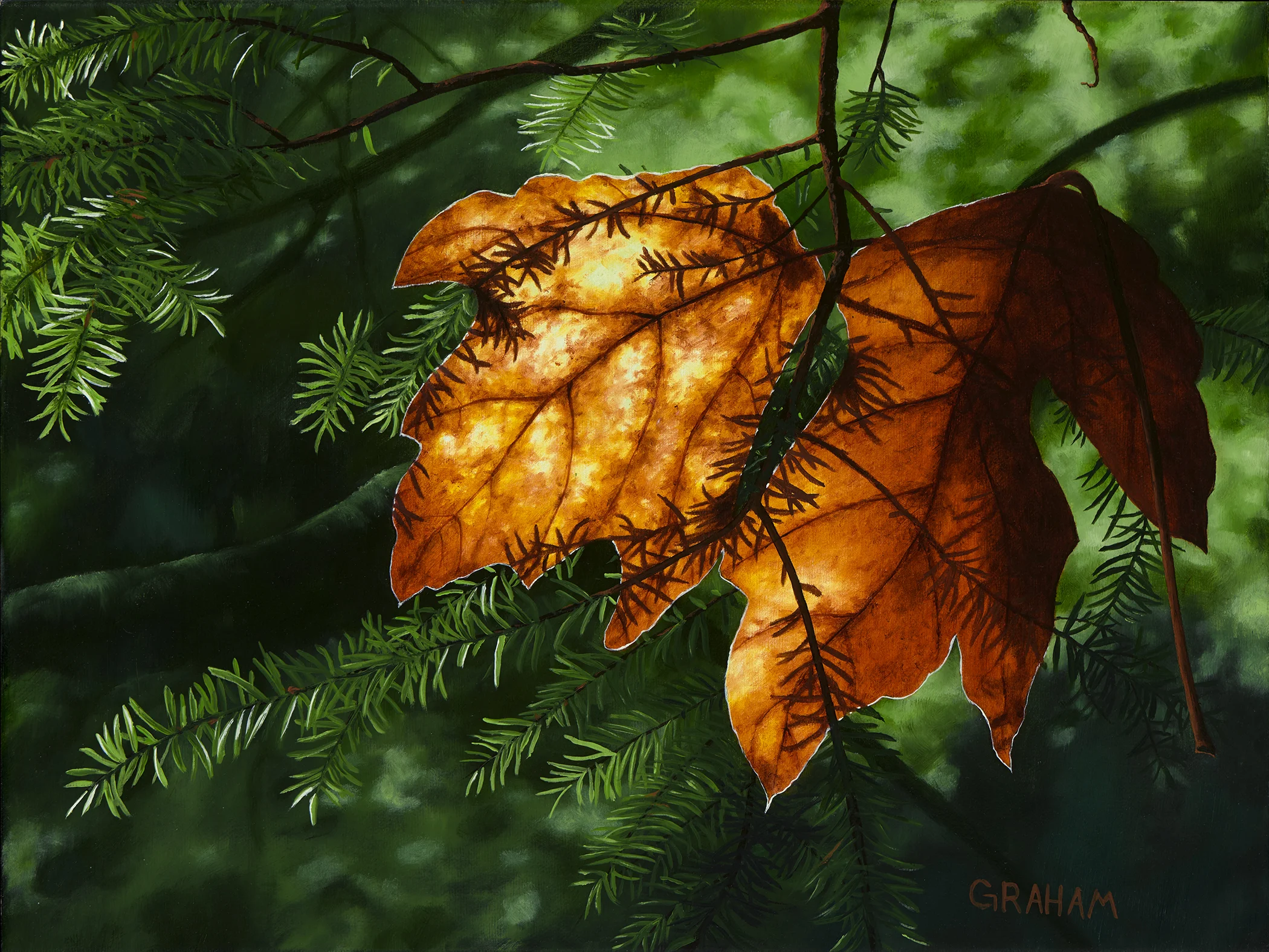 Autumn Glow Web12x16.jpg