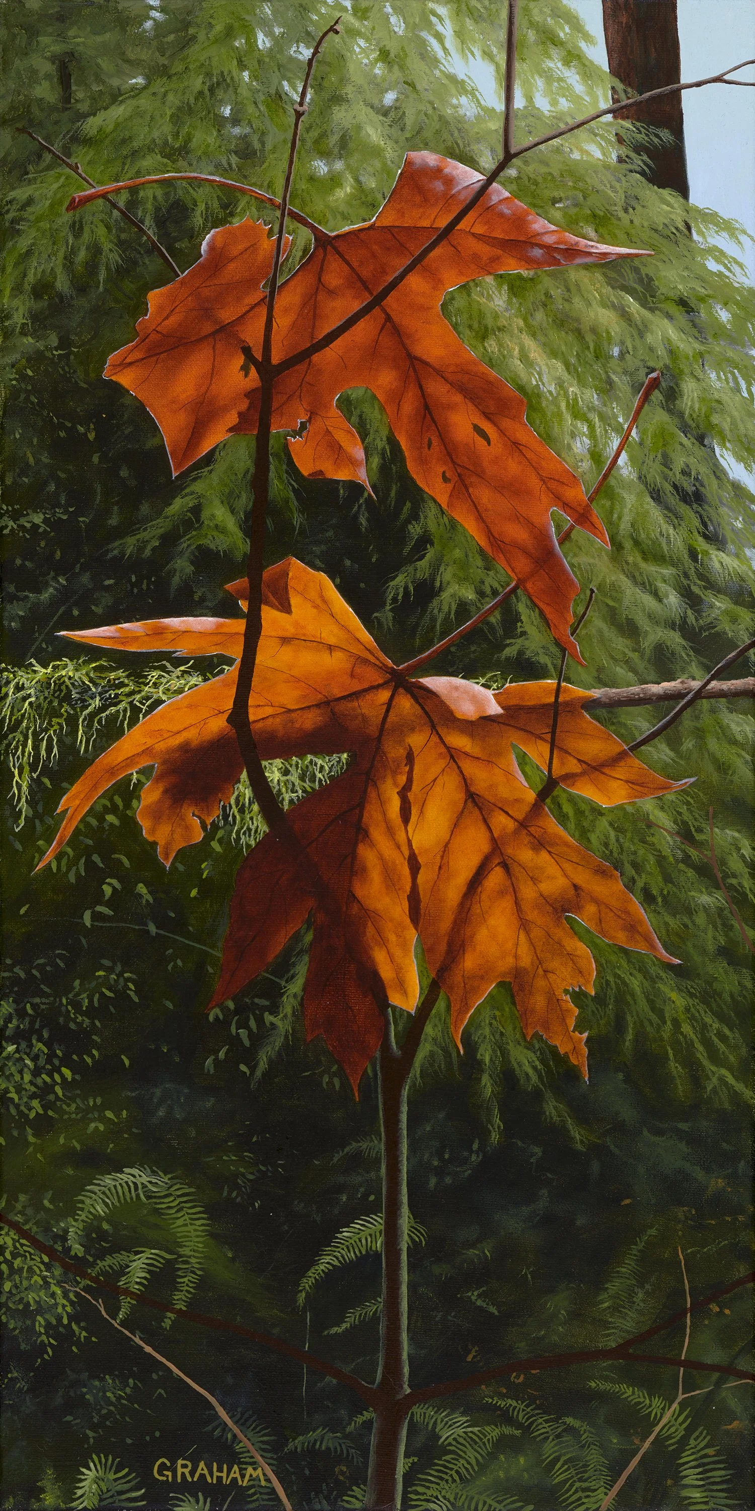 Graham Mckenzie -Behold - 12x24-low res.jpg