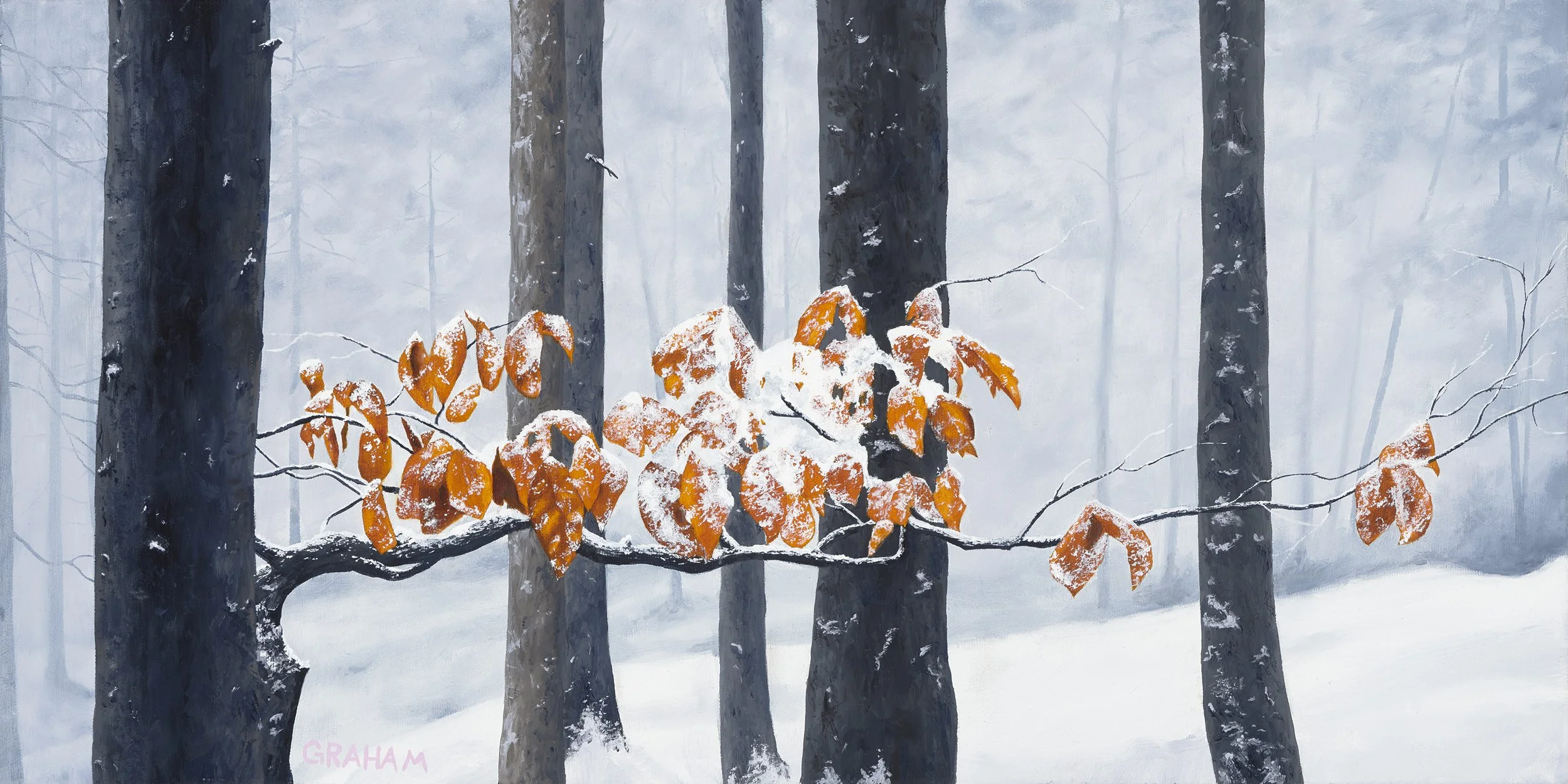 Winter Wonder- Graham Mckenzie - low res.jpg