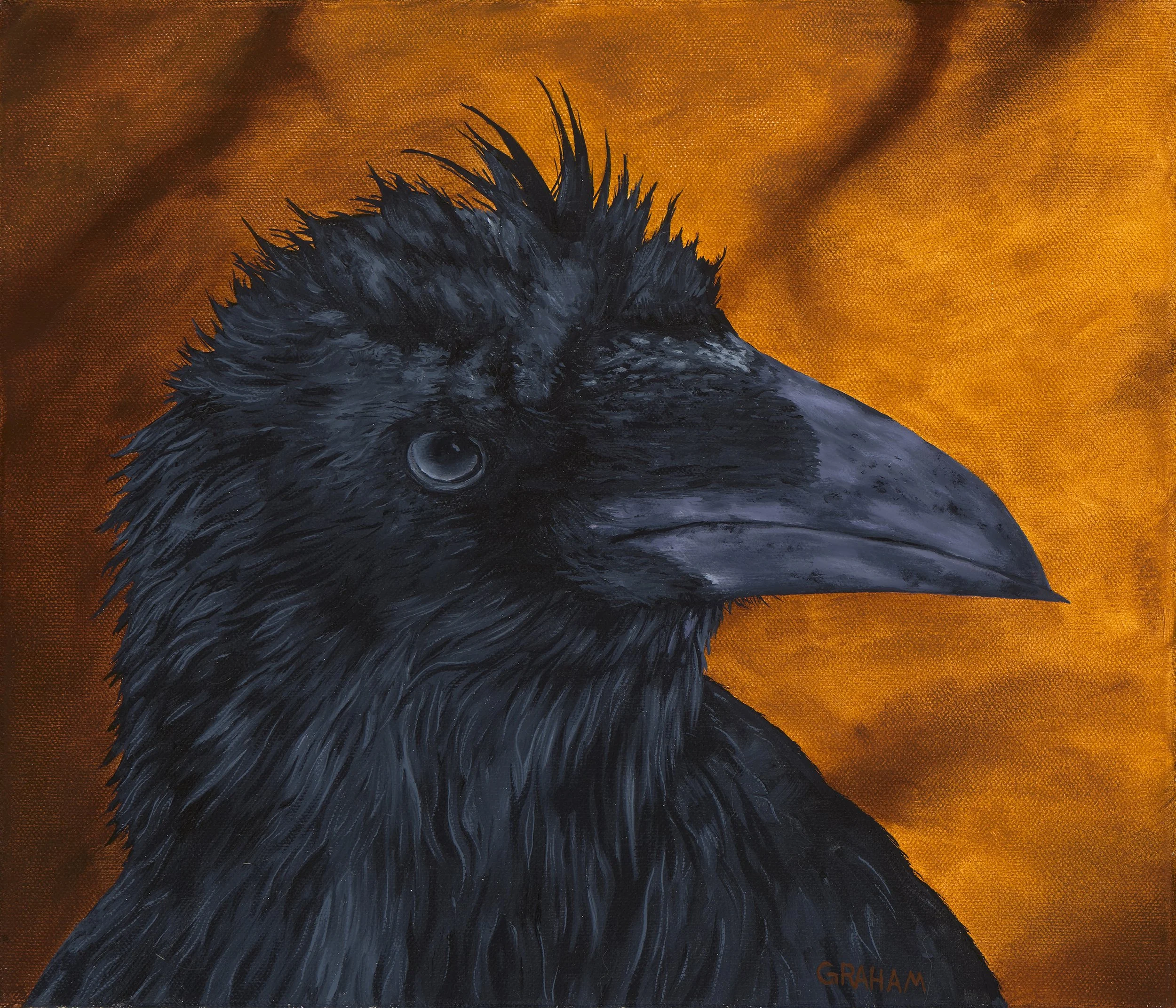 THE PHILOSOPHER -GRAHAM MCKENZIE 12x14-low res.jpg