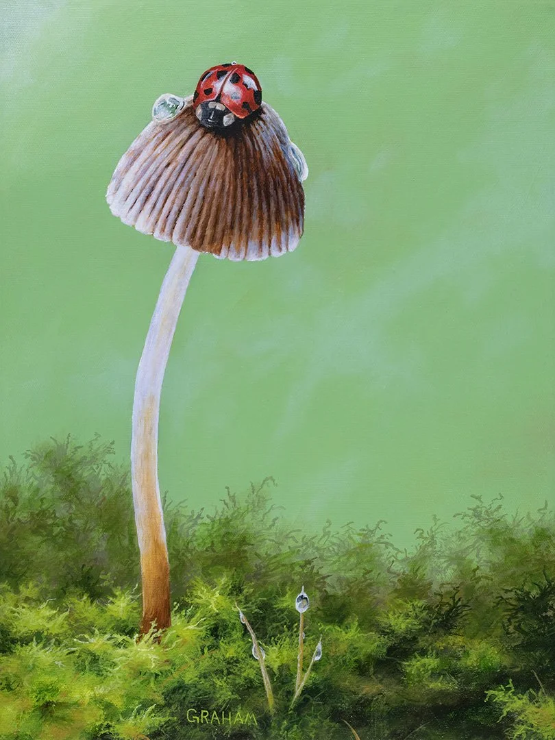 Kathy's-Lady-Bug-12x16-10-WEB.jpg
