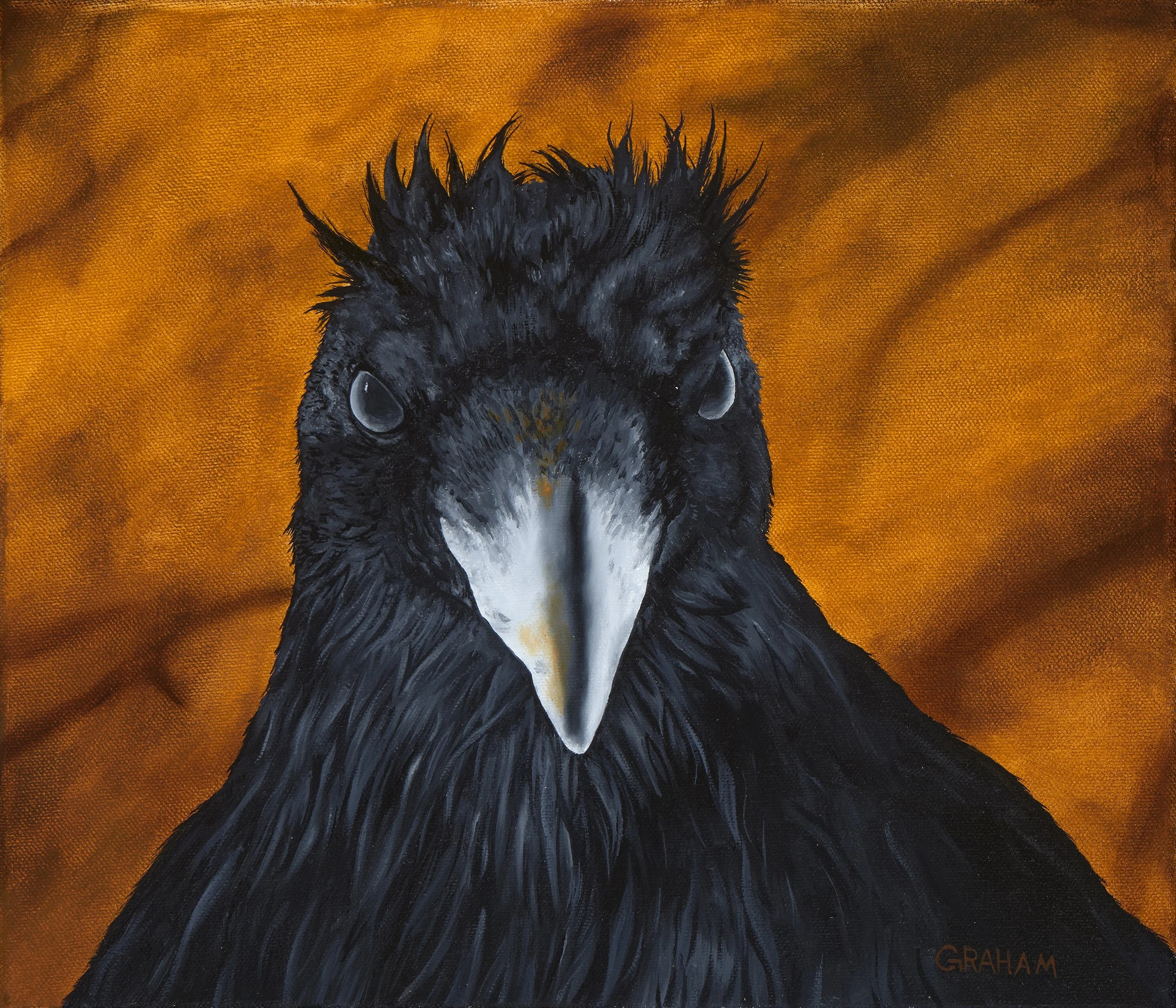 THE JUDGE -GRAHAM MCKENZIE-12x14-low res.jpg