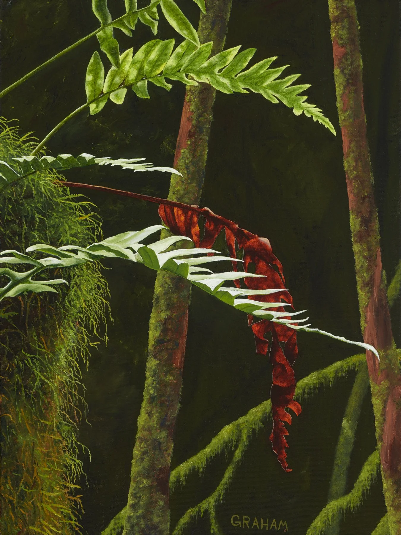 Reaching for the Light- Graham Mckenzie 12x16-low res.jpg