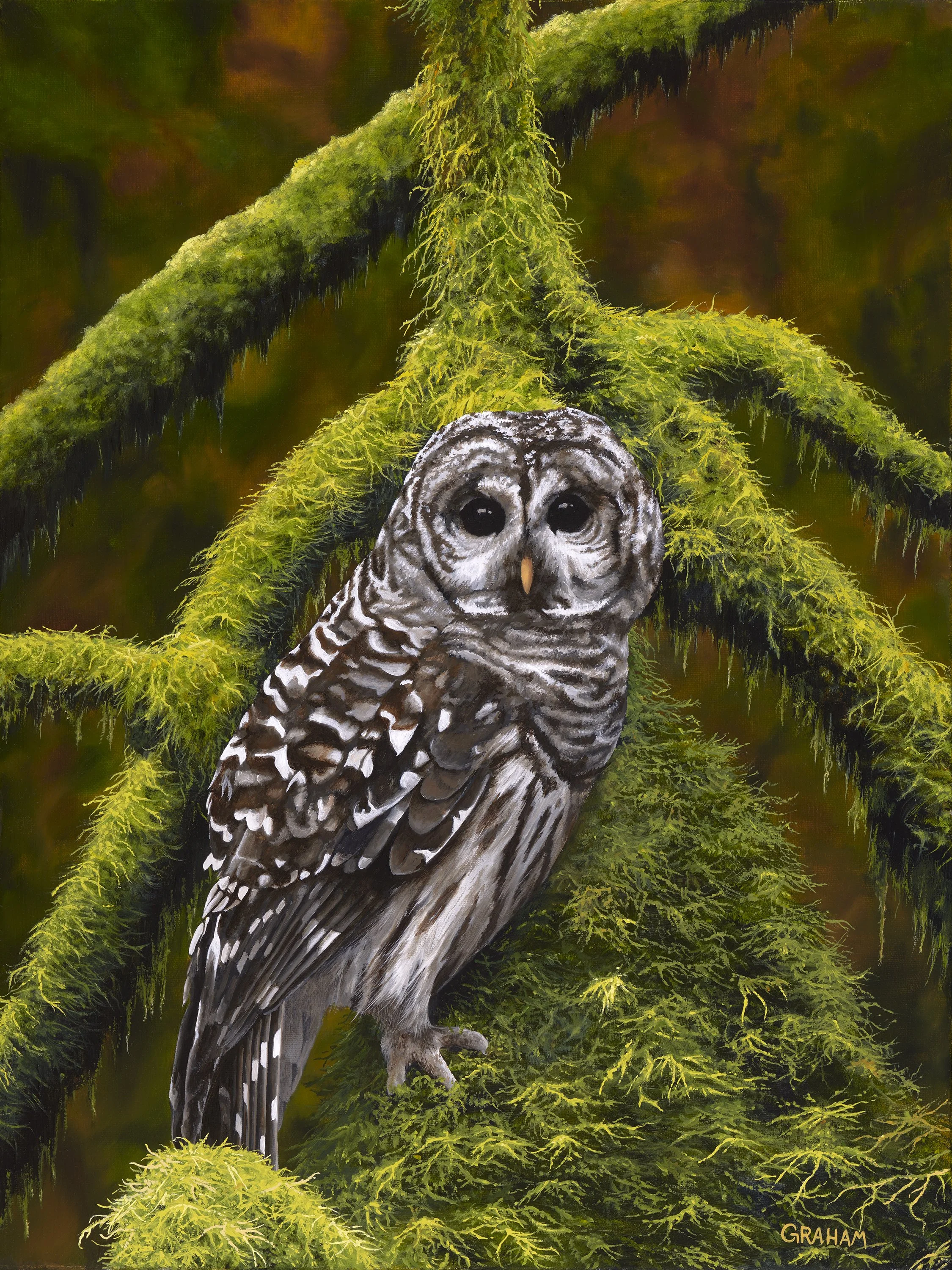 The Watcher Graham Mckenzie 18x24-low res.jpg
