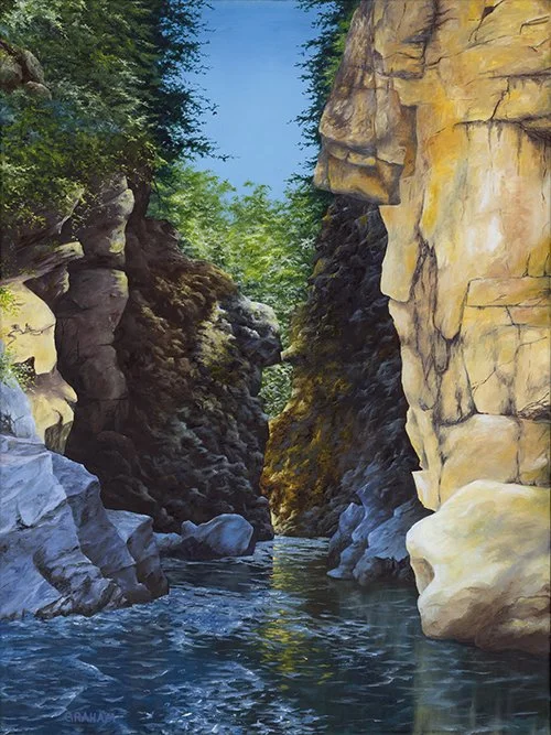 Graham_May 14_24_TN.jpg