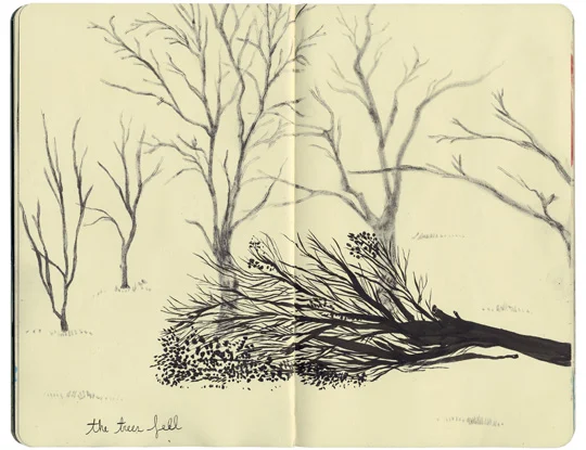 Eunice_Sketchbook27.jpg