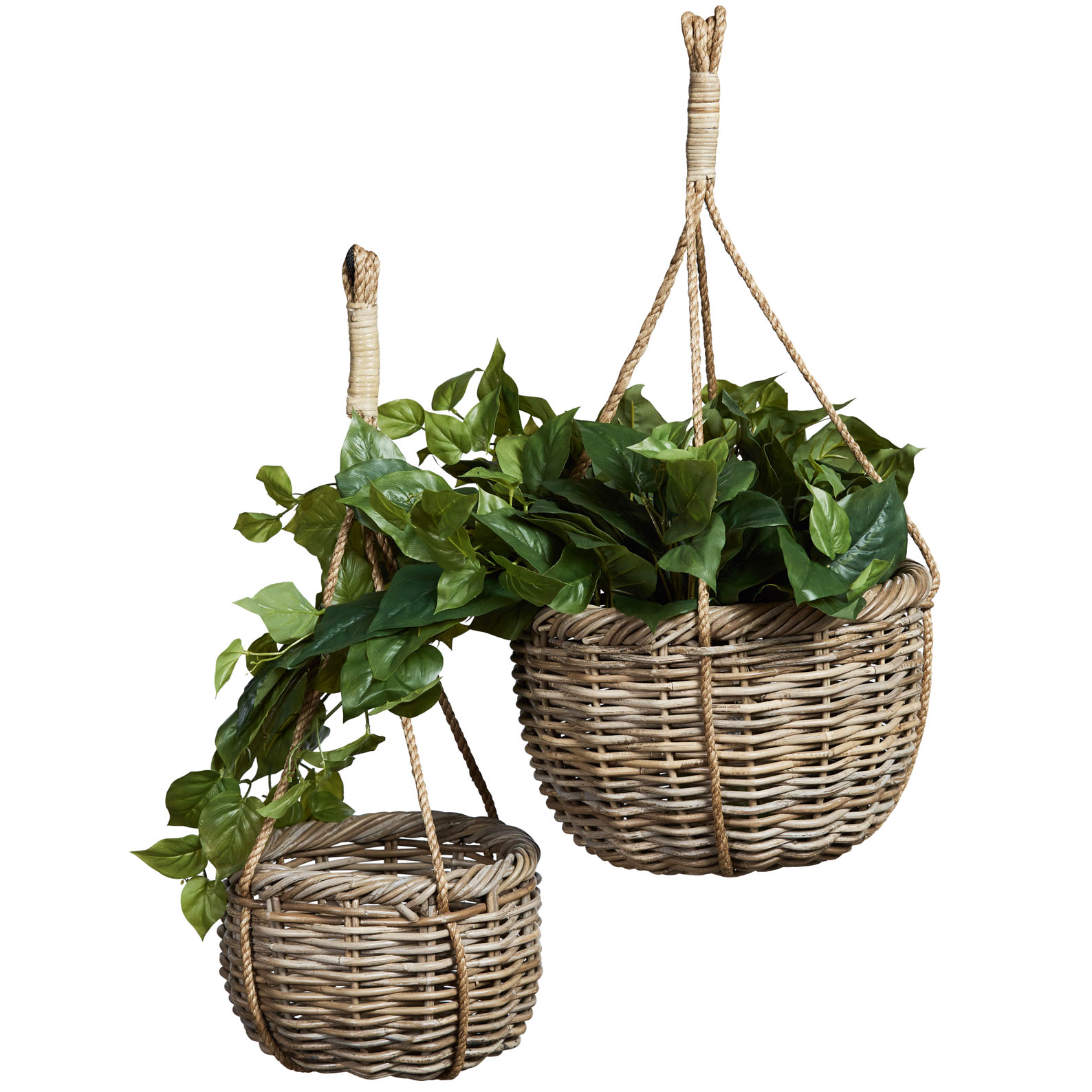 palm springs hanging planters