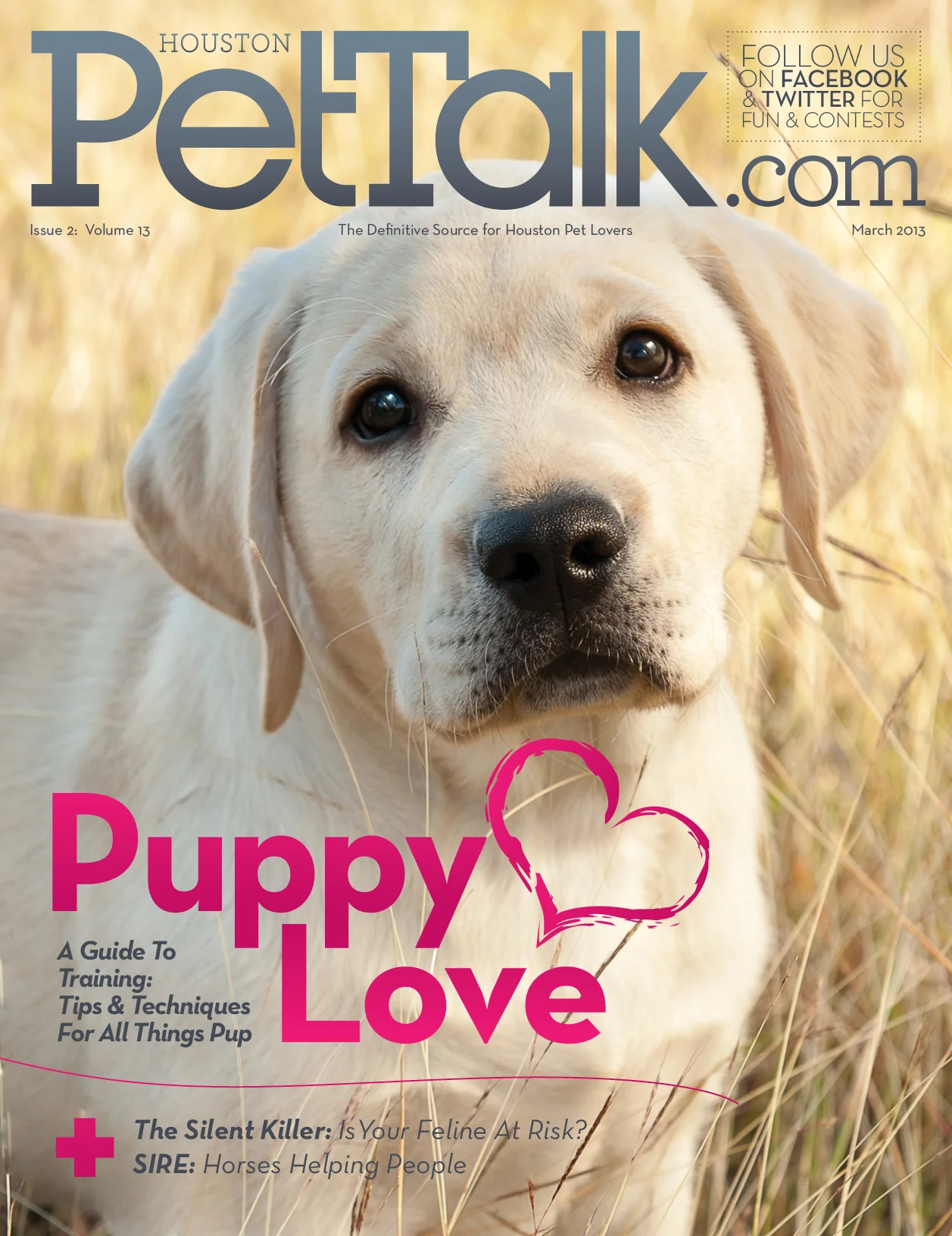 PetTalk 79 March 2013 Cover.jpg