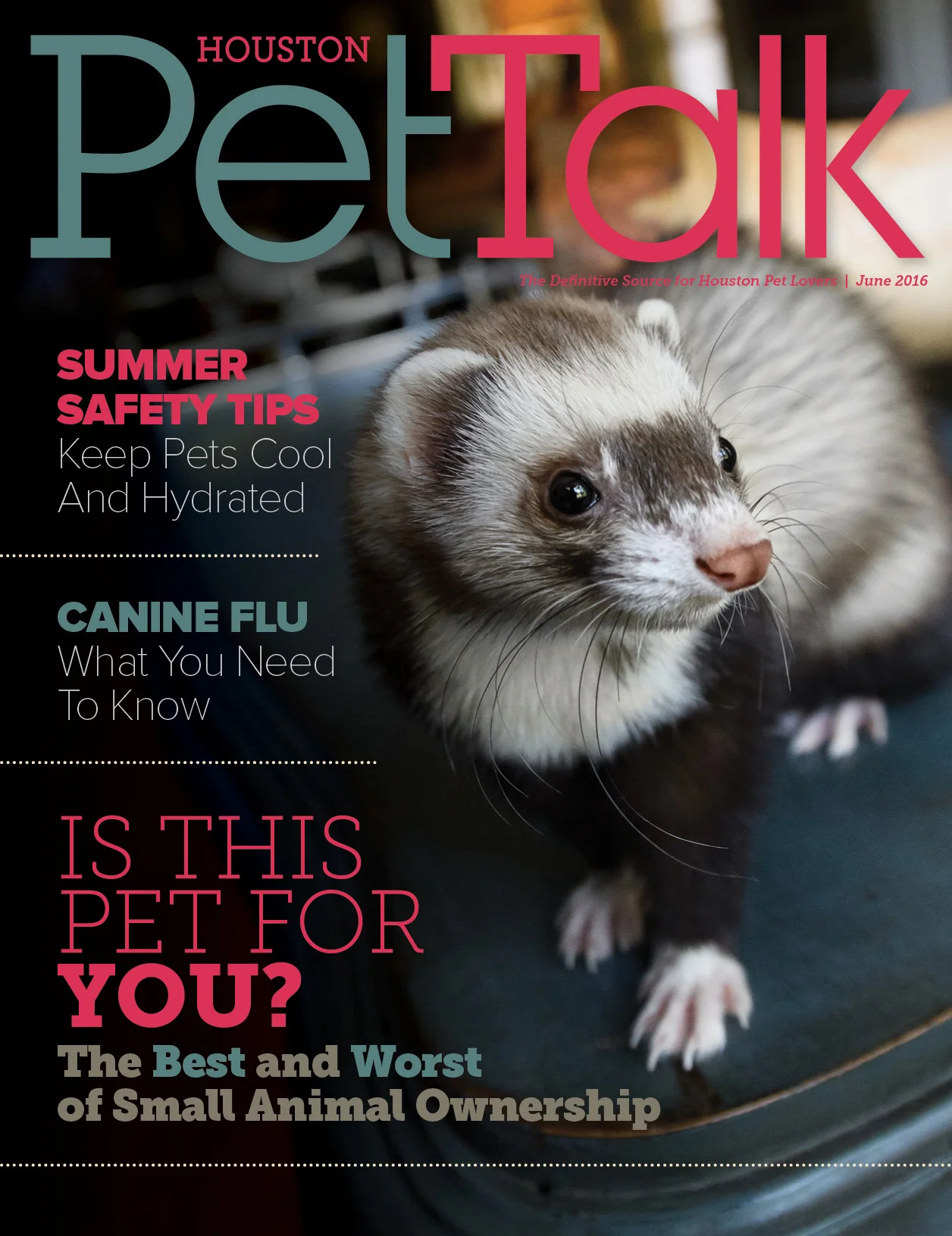 PetTalk 115 June 2016 Cover.jpg