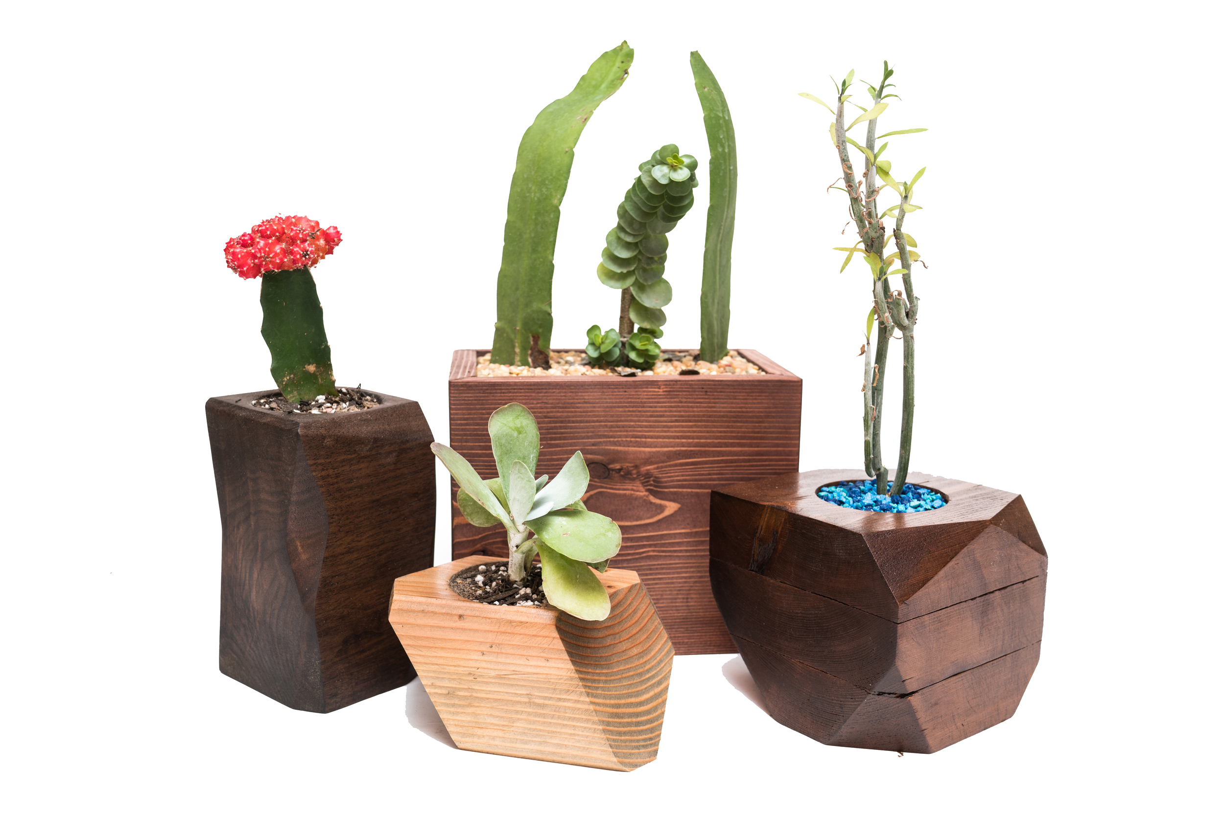 Succulent & Cacti planters