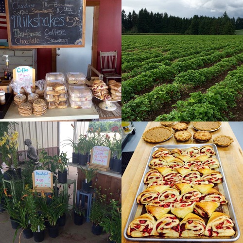 Tour our charming baked goods and garden store!