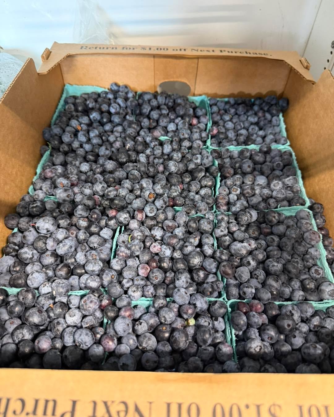 It&rsquo;s hot out there! Come inside where it&rsquo;s cool - we are running our AC. Too hot to u-pick your own berries? We&rsquo;ve got lots of blueberries pre-picked for your convenience. Just $18 a half crate or $35 a full crate. Stay hydrated wit