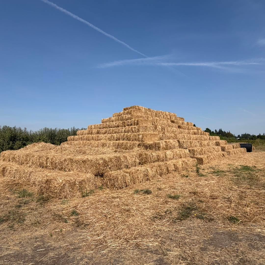 Farm updates! 

Fall hours have begun. We are now open Monday through Saturday 9am-6pm. Watch for more adjusted fall fest hours at the end of September. 

The hay fort is ready! Come and play! As always we charge no admission fee! It is always free t