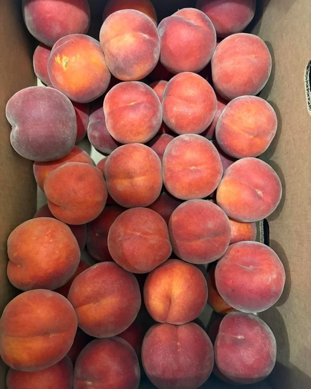 Canning fanatics unite! It&rsquo;s canning season! We&rsquo;ve got lots of bulk items available for you. 

For $35 a box, you can get peaches, apples, or slicing tomatoes! One bulk box is 20lbs. We also have Heirloom Tomatoes for $42 for a 20lb box. 