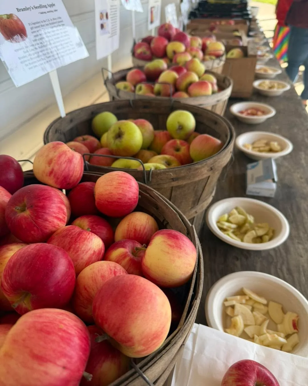Come taste 19 distinct apple varieties this weekend at Apple Palooza! Tasting station is open until 5. Free samples, and grab bags can be filled for $2/lb. Apple Palooza runs today until 5, and tomorrow from 12-5. 

Fall activities are open! The hay 