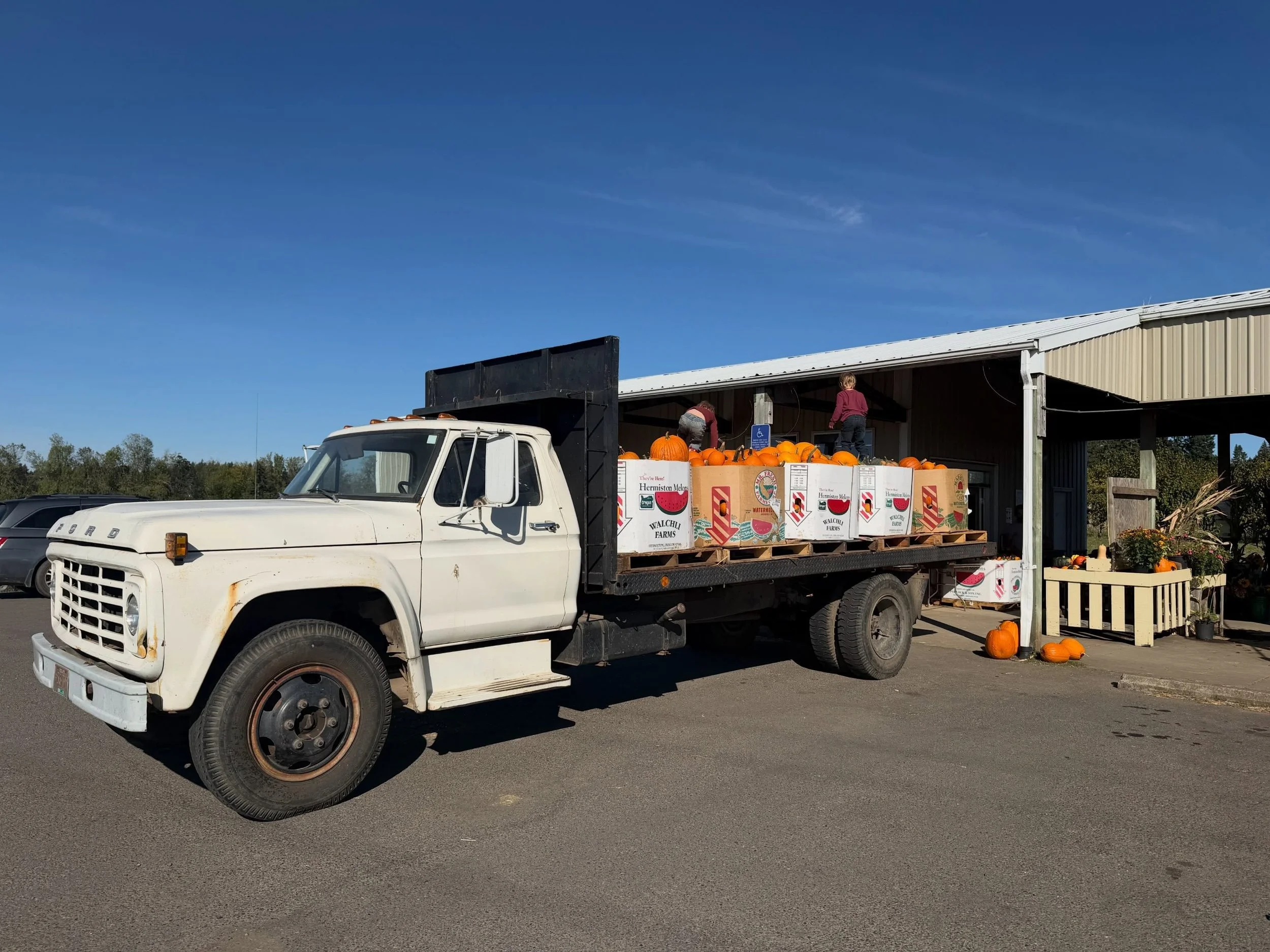 Thanks for a great opening weekend, everyone! We had a blast and it seemed everyone out here did too. We are just getting started! We&rsquo;ve got another load of our pumpkins coming in this morning from our Scio property. Would you take a look at th