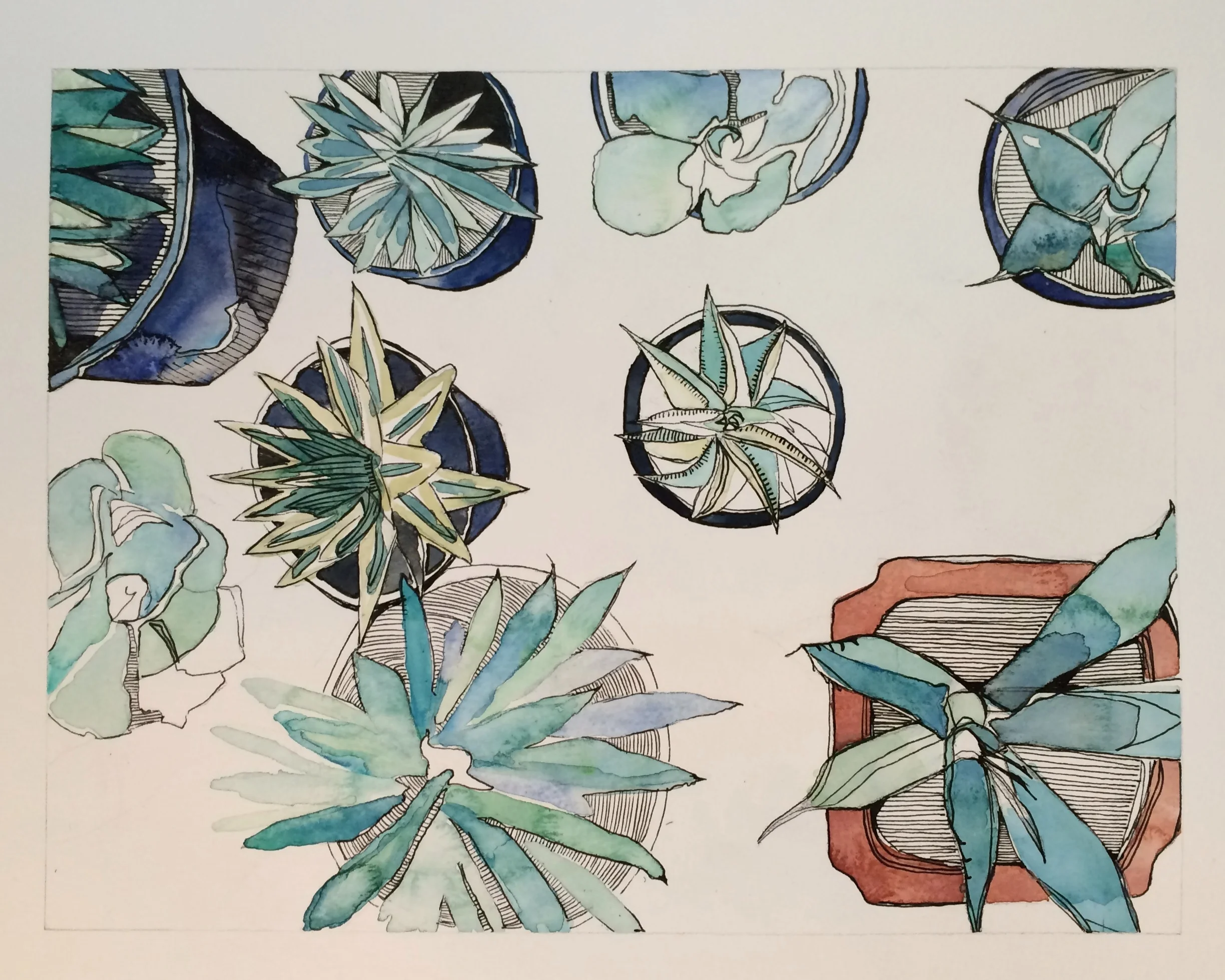 Watercolor for Beginners