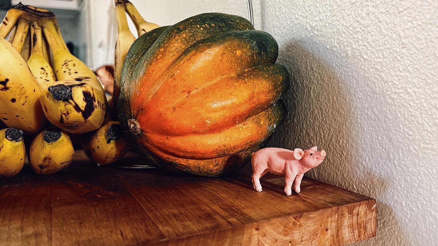 It&rsquo;s that time of the year where &ldquo;IT&rsquo;S DECORATIVE GOURD SEASON, MOTHERFUCKERS&ldquo;
lives in my brain rent free.
