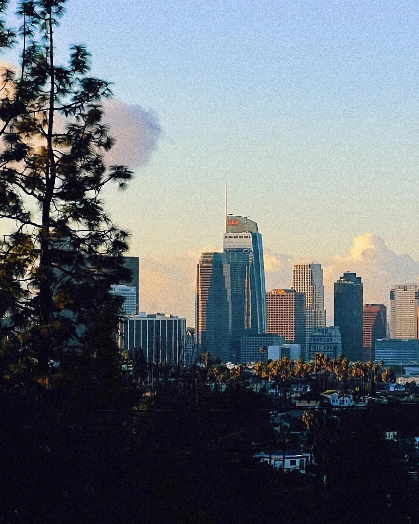 early morning echo park