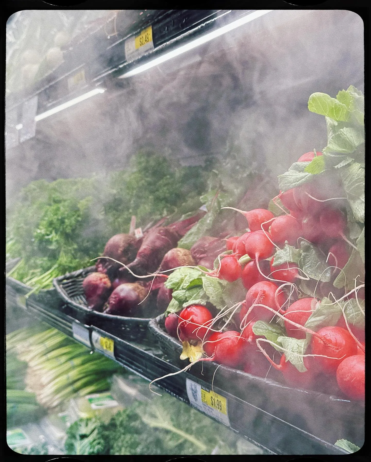 So January was a month of this year. 
Scroll to end for my new 2025 identity. 
#🧂🥐