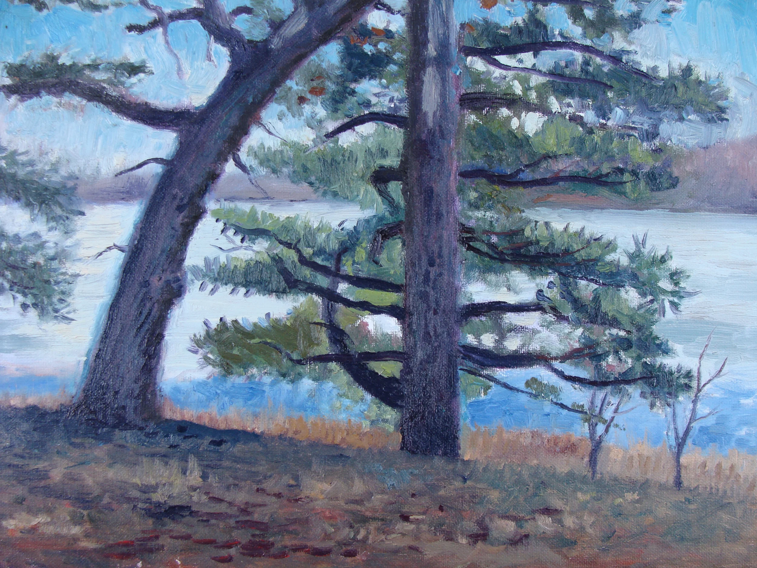 Trees at Pat's Cabin