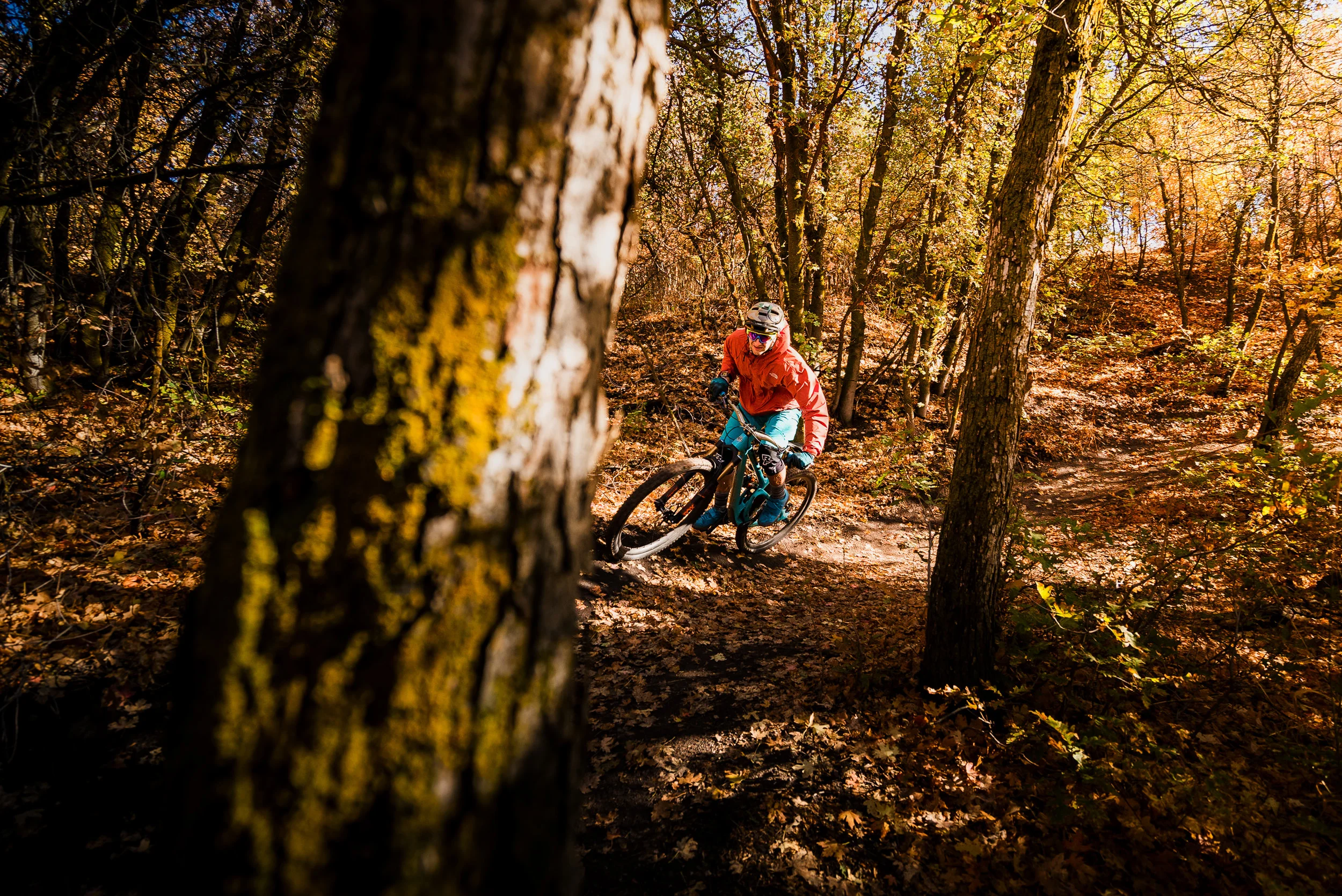 20160924Jacobs ladderDSC07093-Edit.jpg