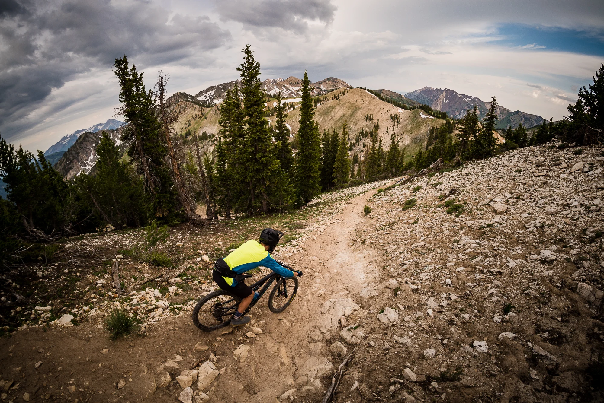 Alpine Mountain Biking
