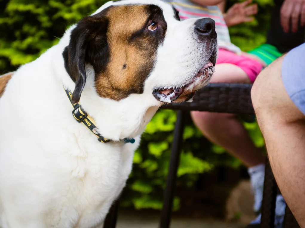 2015-05-25 Christopher Sesh Memorial Day BBQ - Photo Sesh - NJ-5258.jpg