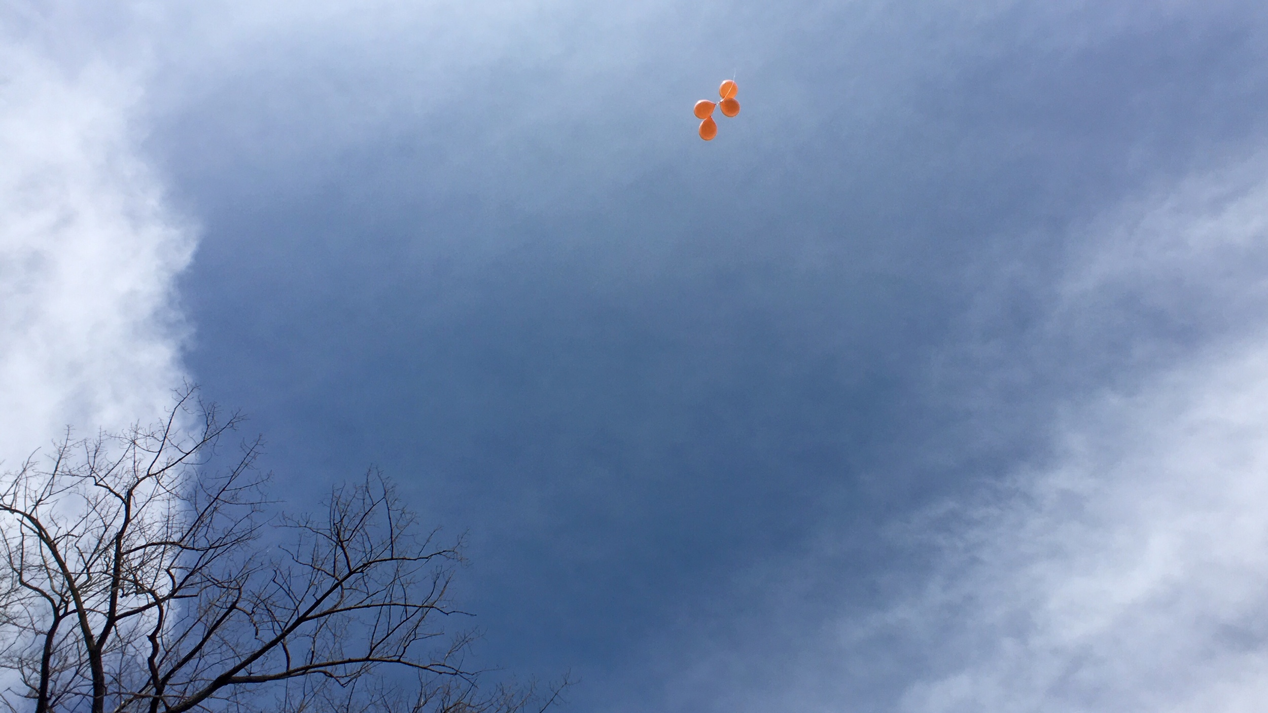 PhotoSesh - Hayden's Heart 4th Annual 5K Bday Bash (Balloon Release - 5).jpg