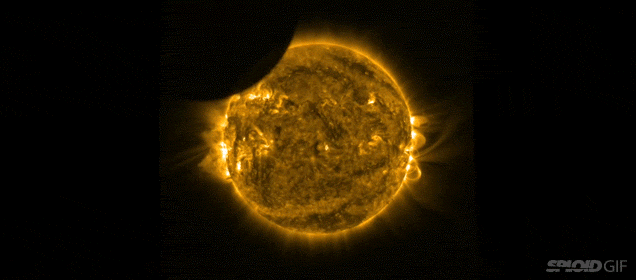 2017 Solar Eclipse Fun Facts and Tips
