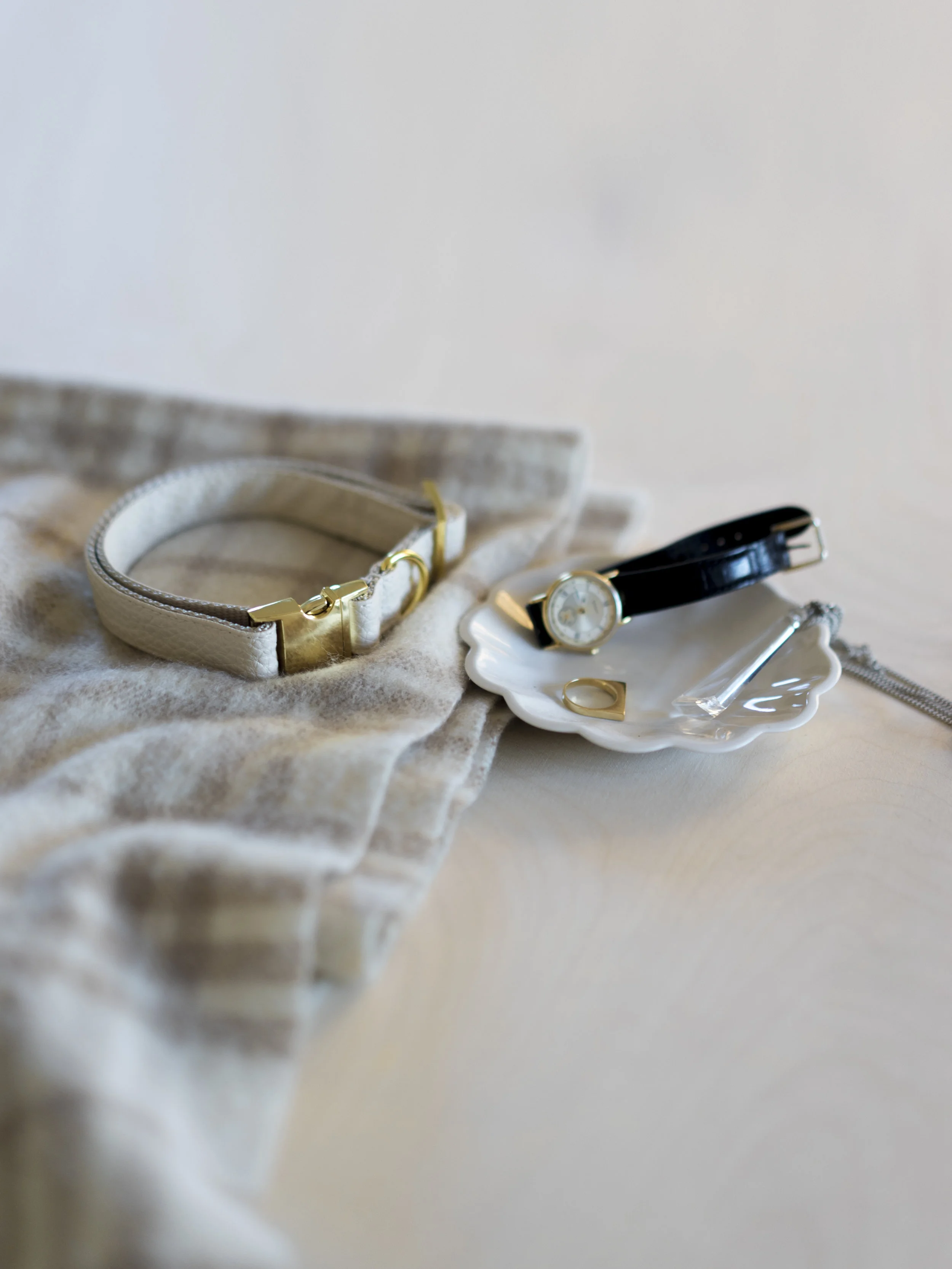cream vegan leather dog collar gold hardware beside jewelry