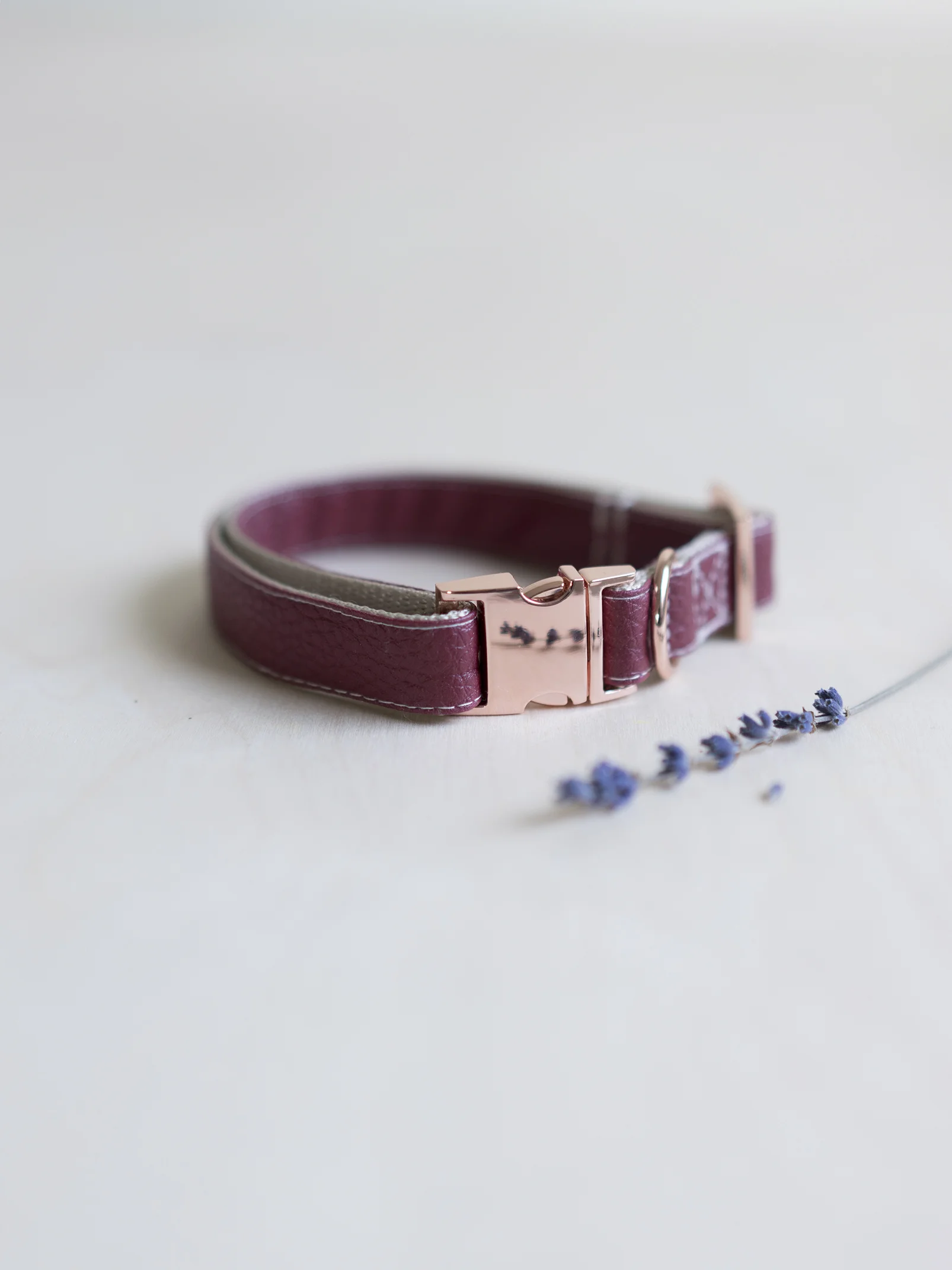 merlot vegan leather dog collar rose gold hardware with lavender in reflection