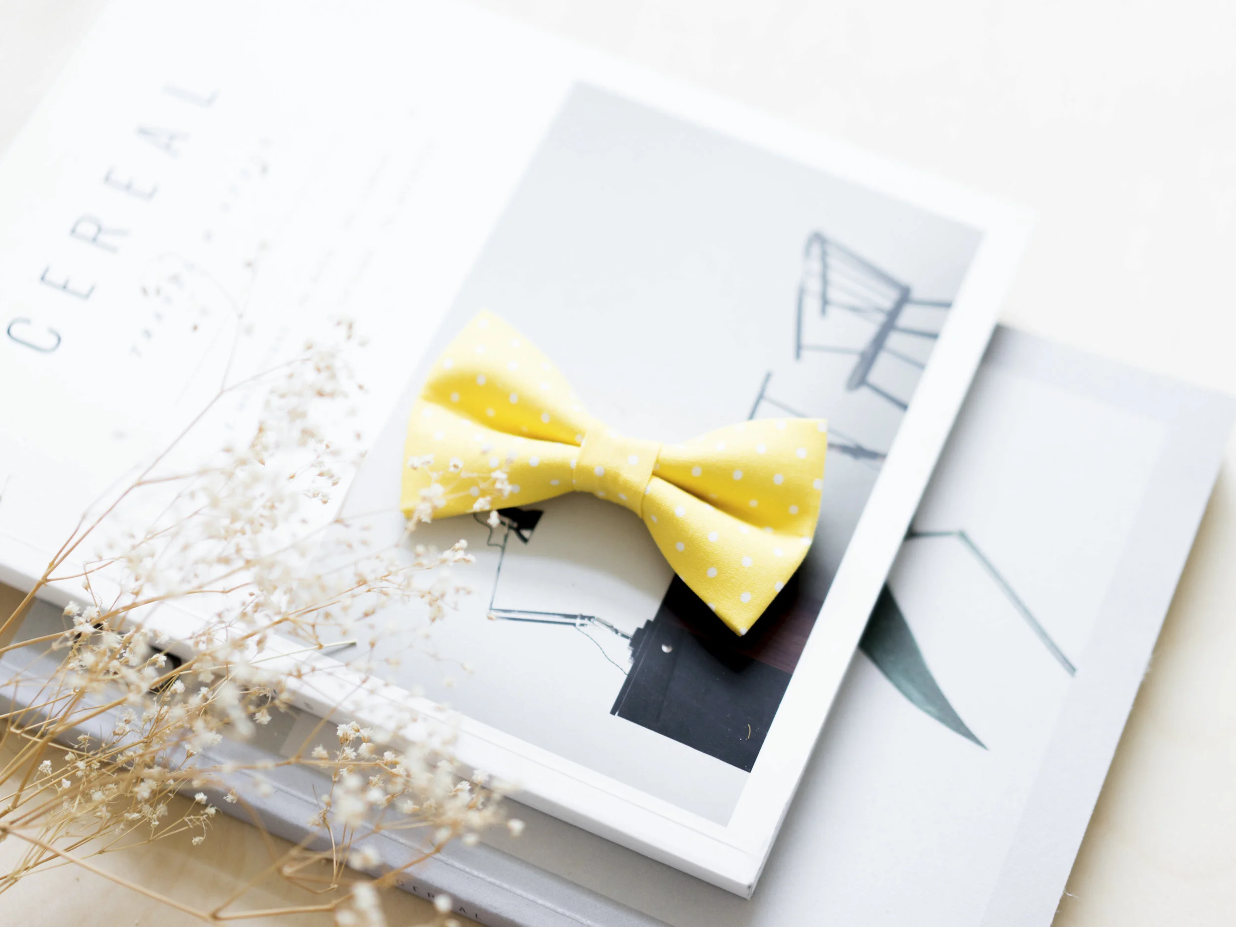 yellow1.jpg