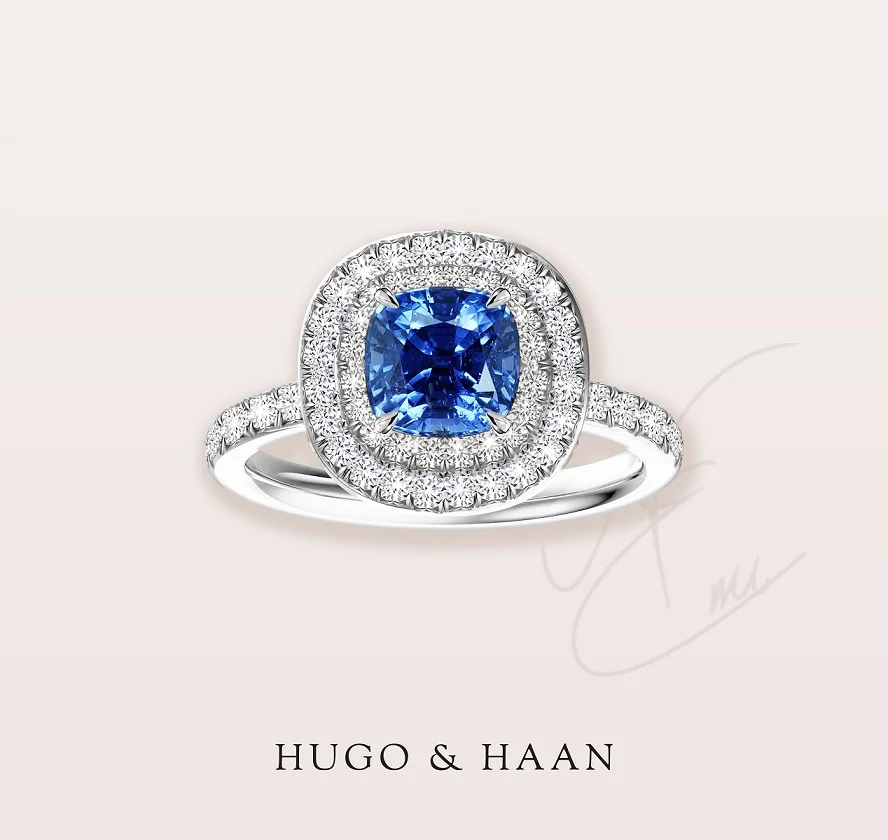 hugo image 3.jpg