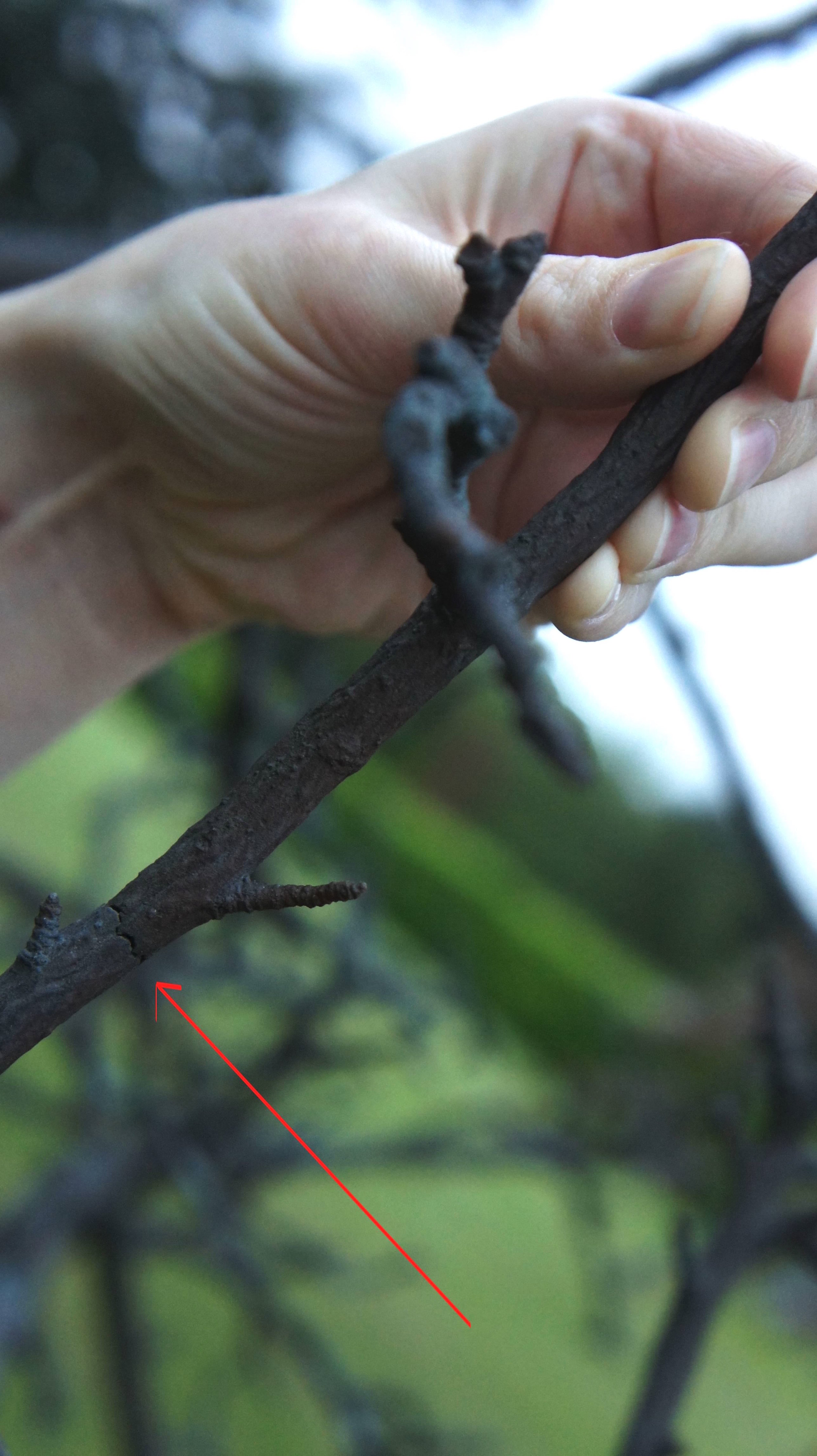 Location and alignment found