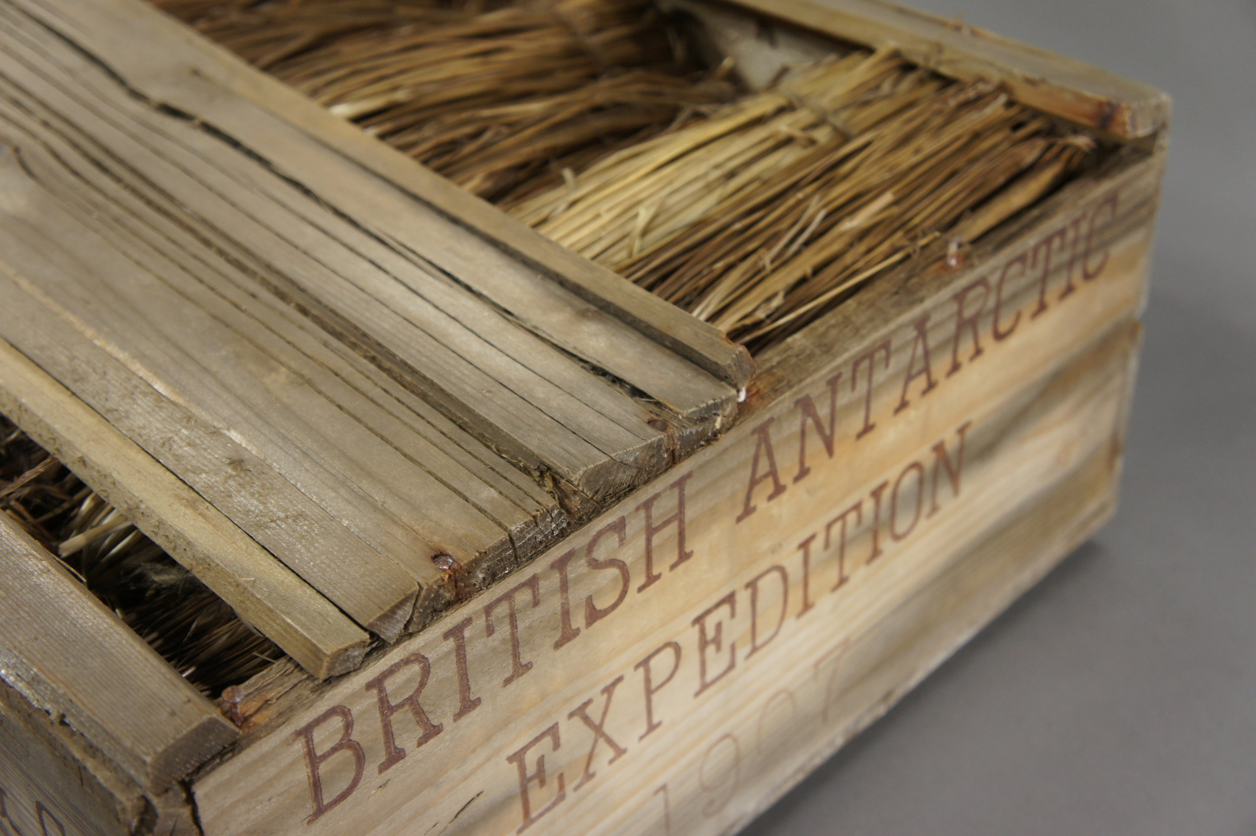 Whisky awaiting removal, and conservation
