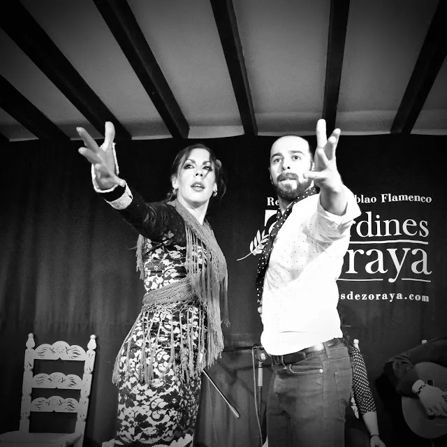 Flamenco show + dinner @ Jardines de Zoraya