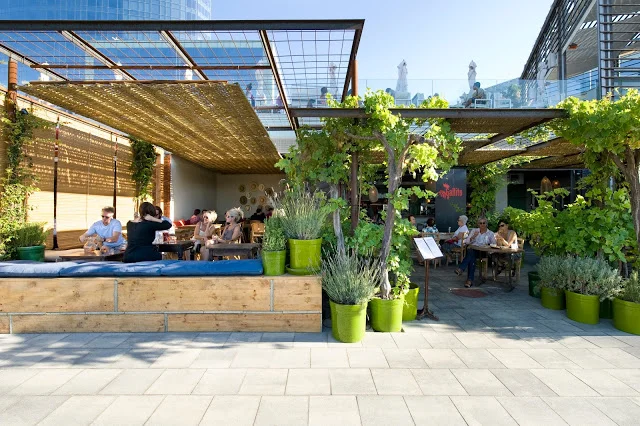 Gallito - Dinner with views of the Barcelona beachfront