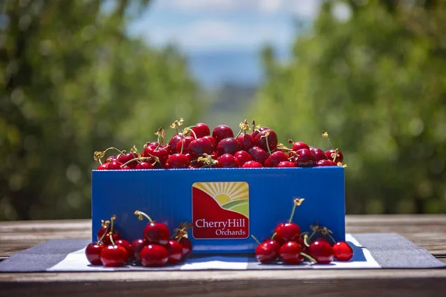 Cherryhill’s pop up shop returns