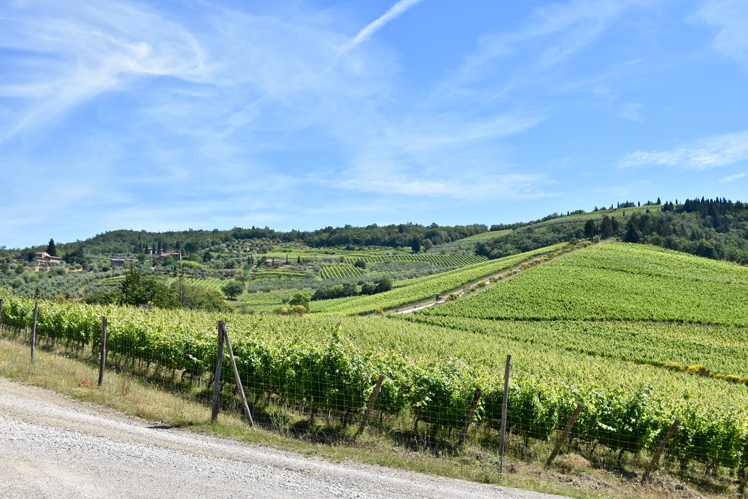 DSC_0659.jpg