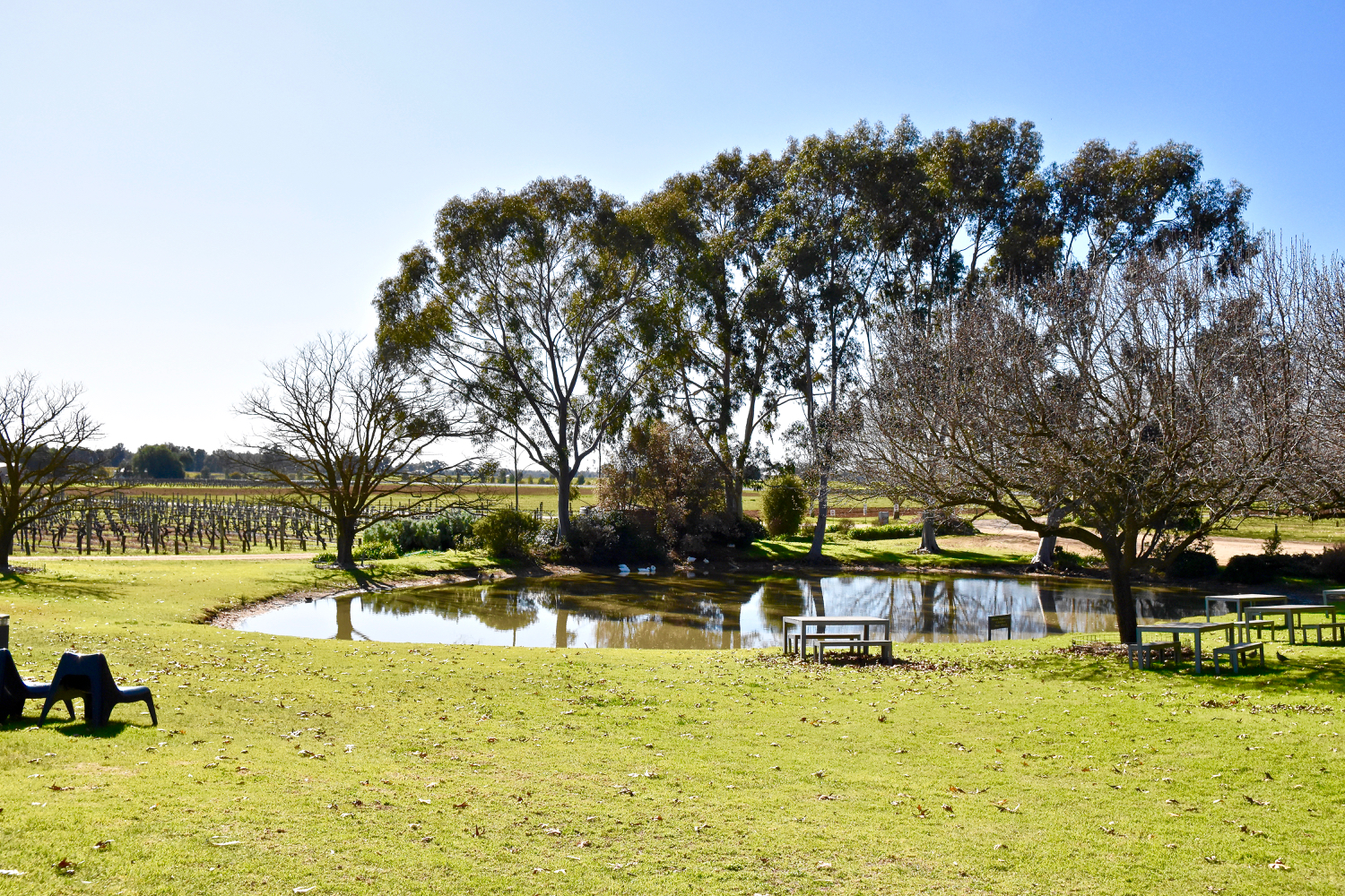 DSC_0447.jpg