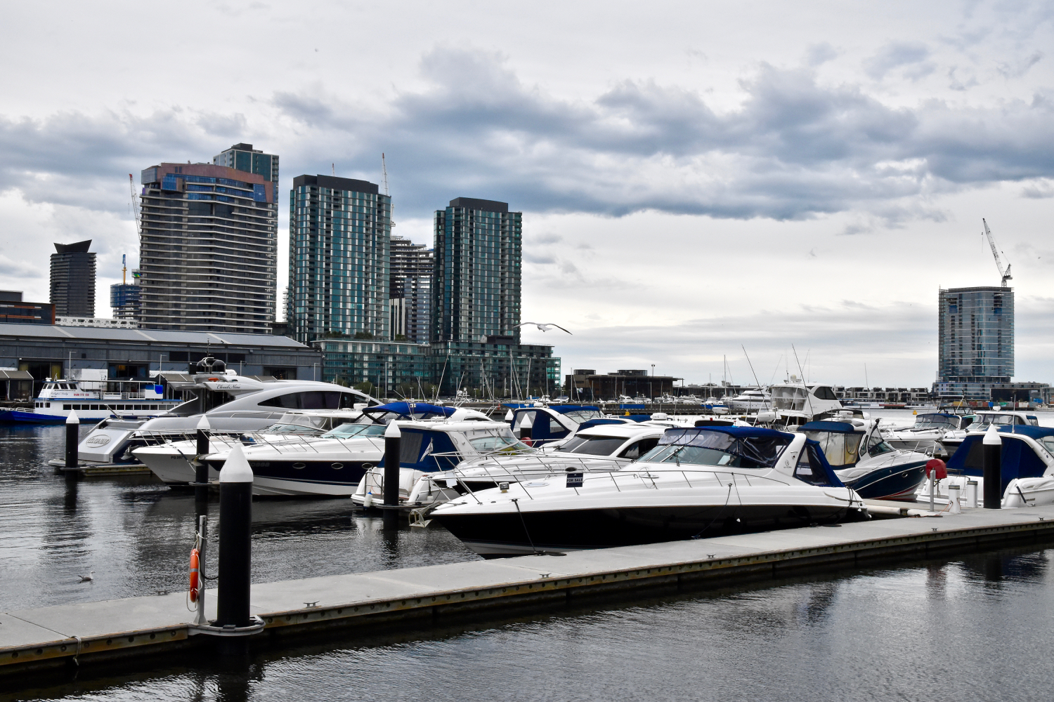 DSC_0588.jpg